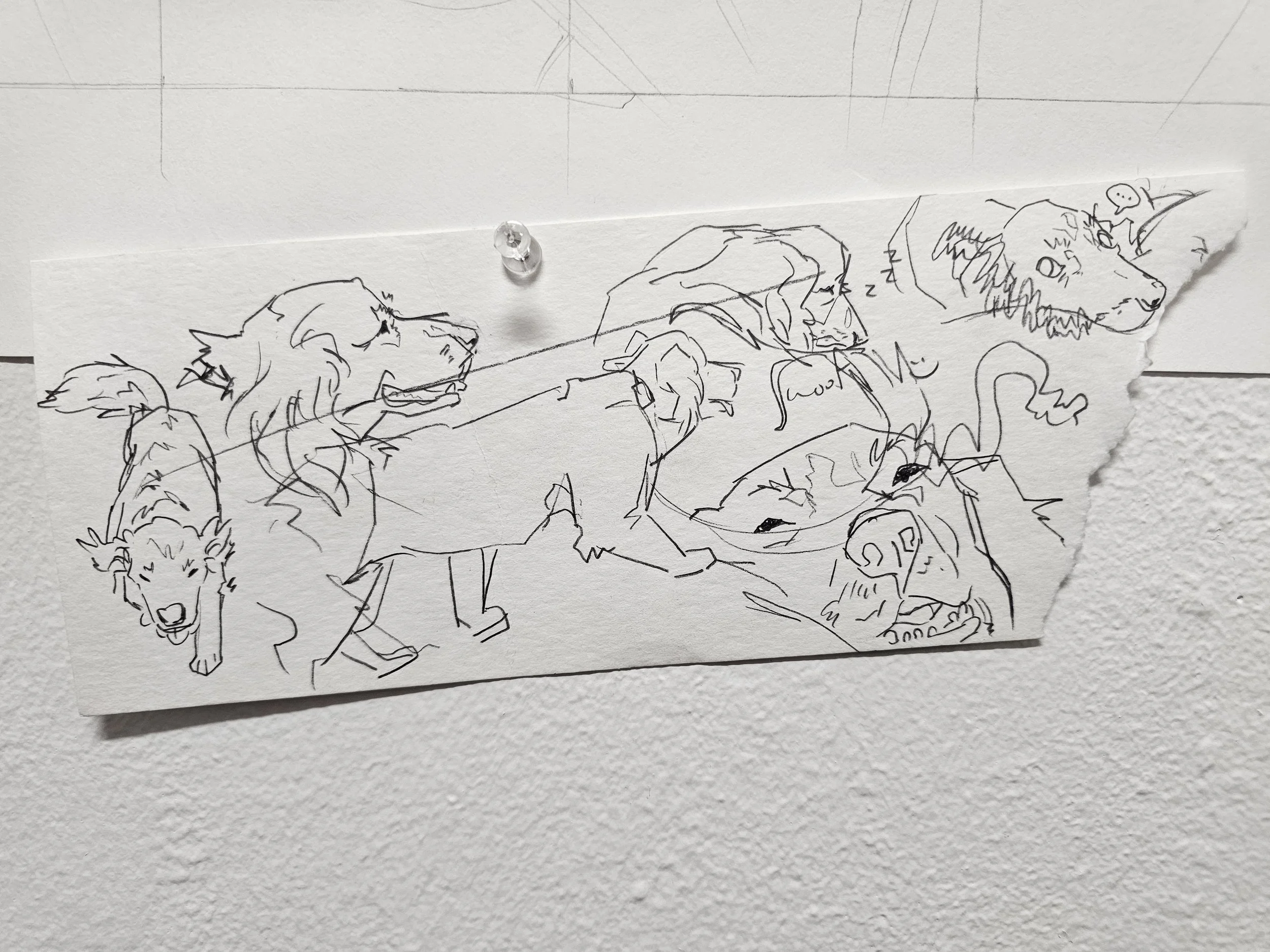 20250118_144352 copy.jpg