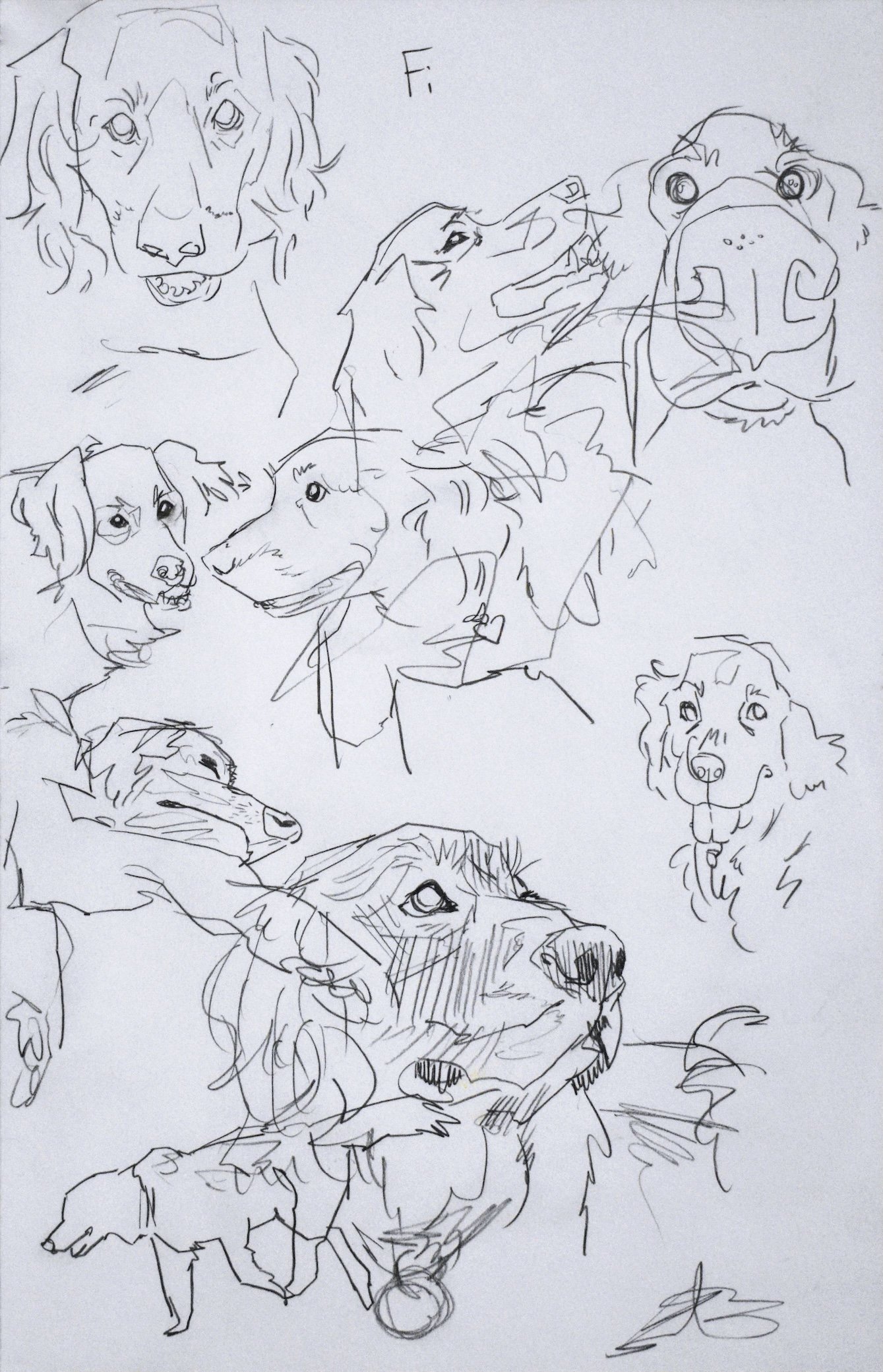 fi sketch (edited).jpg