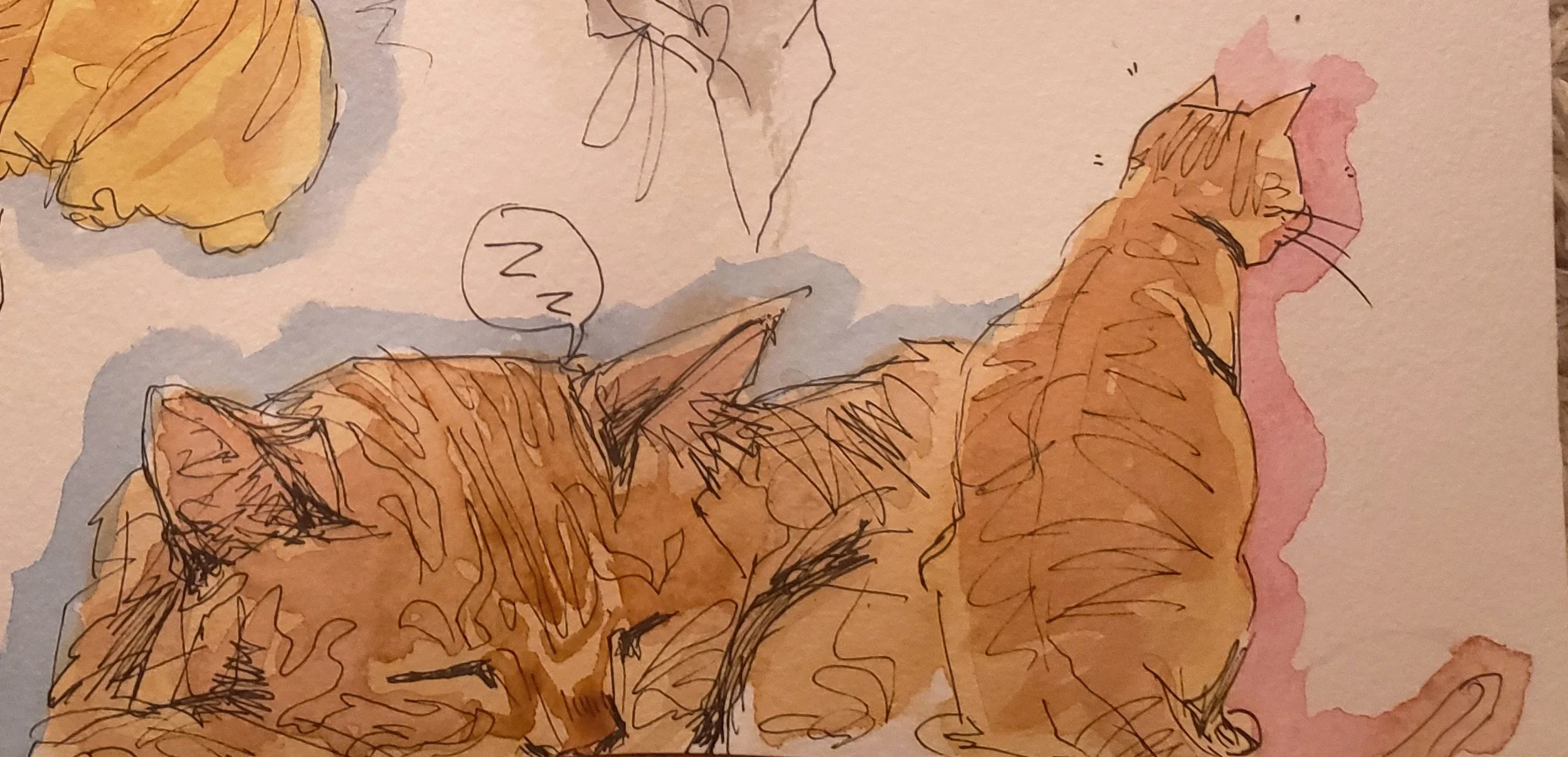 20221003_223323 copy.jpg