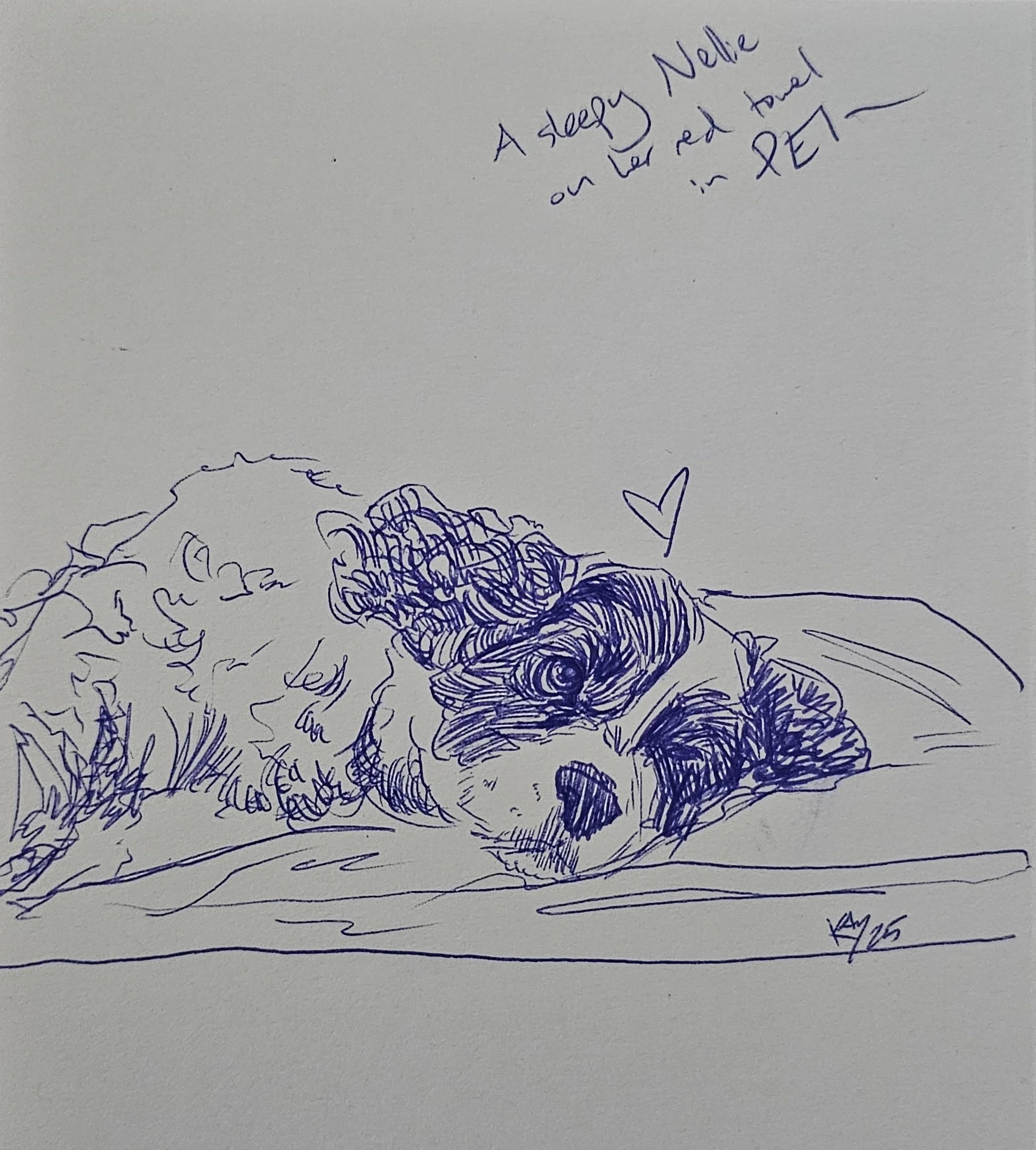 20250825_120406 copy.jpg