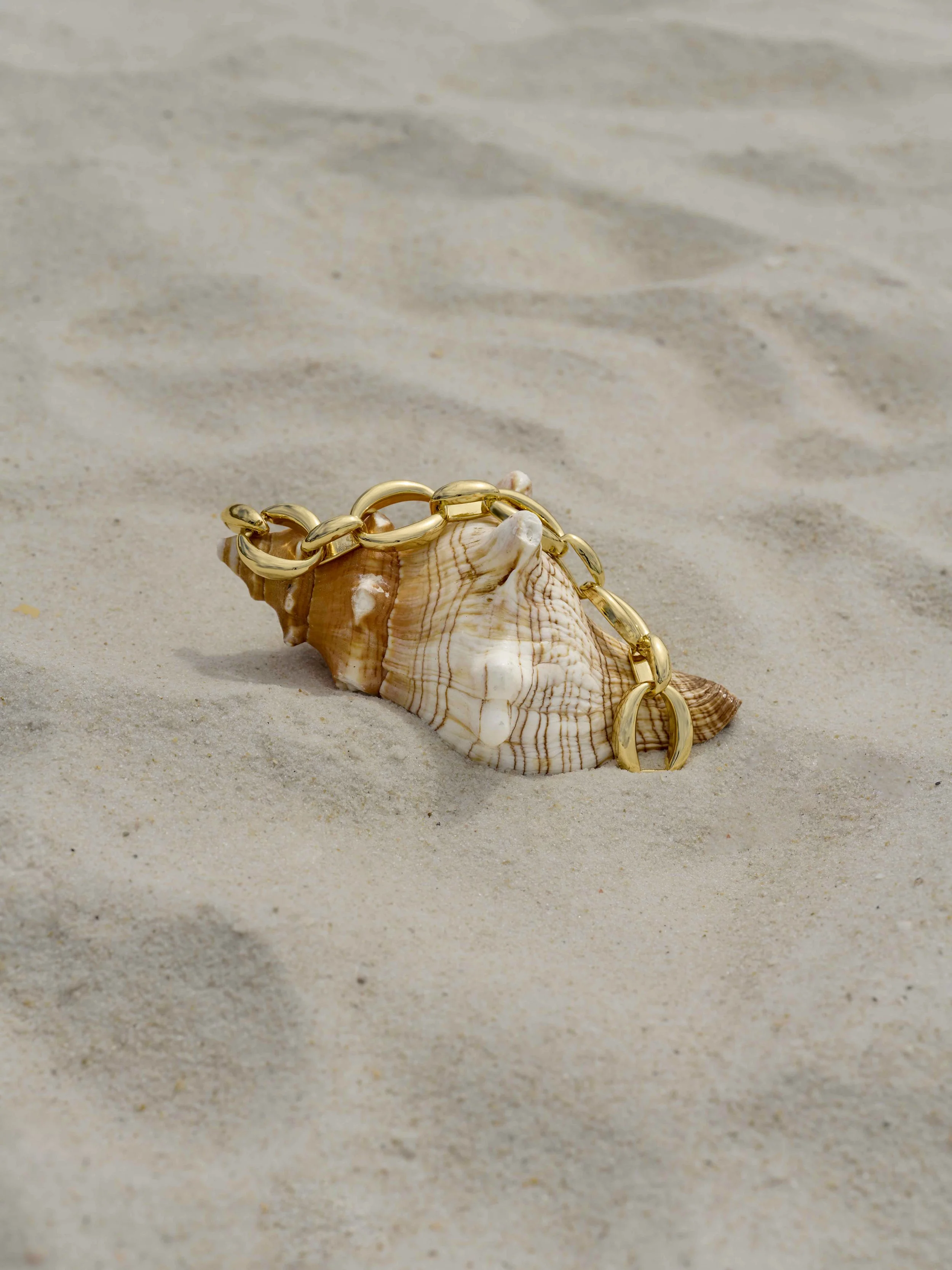 Link-Bracelet_7377.jpg