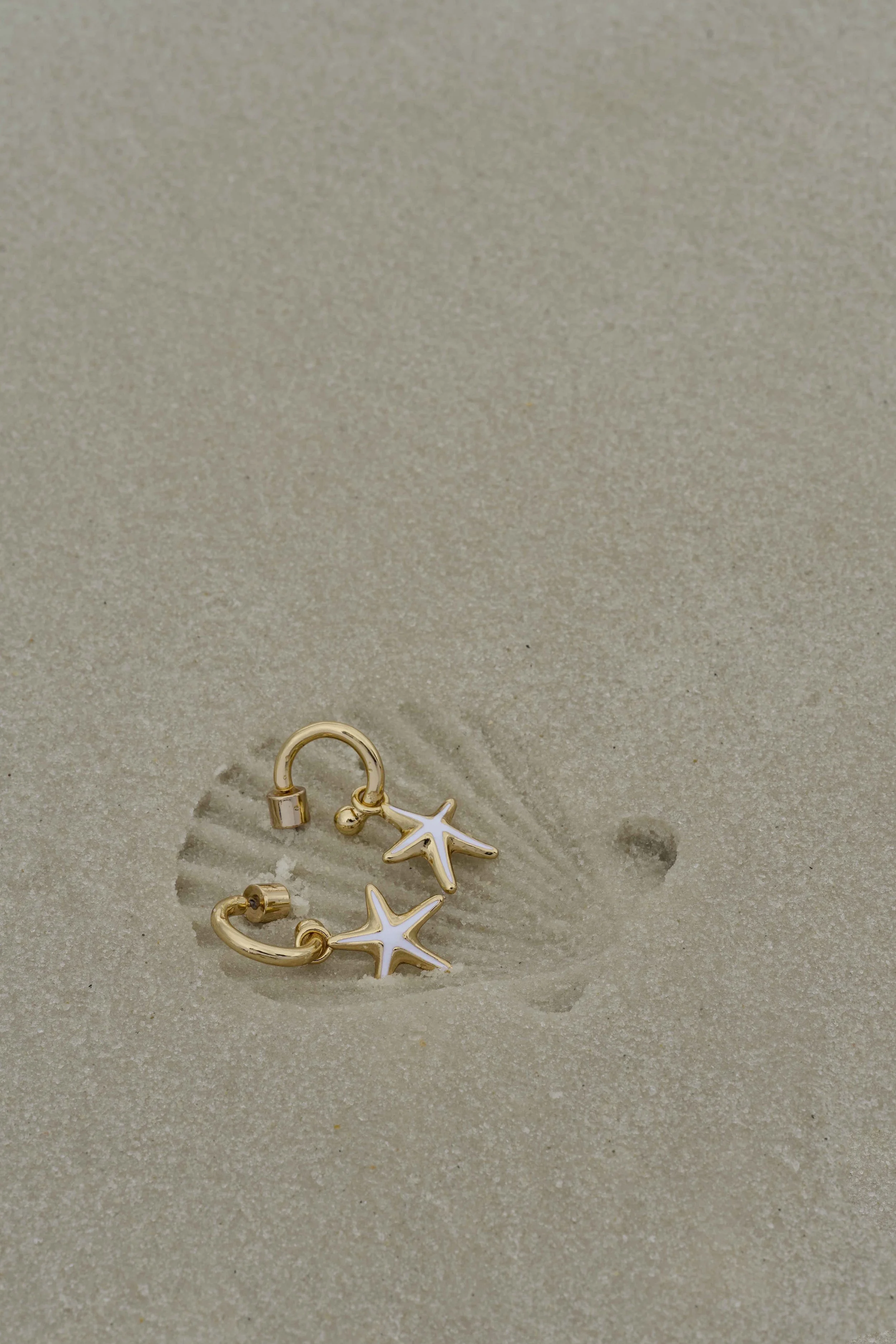 Starfish Hoop Earrings in a Scallop Indent