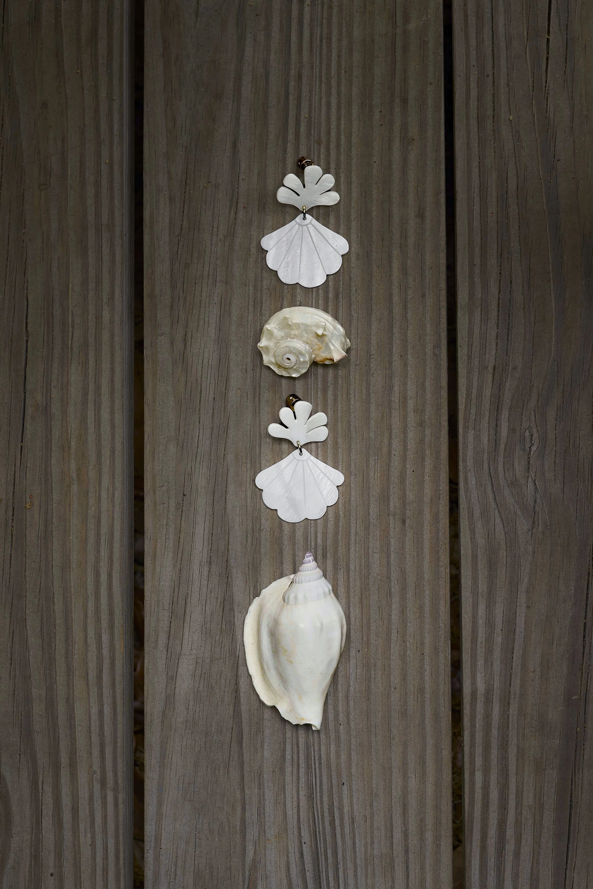 Scallop-Drop_9464.jpg