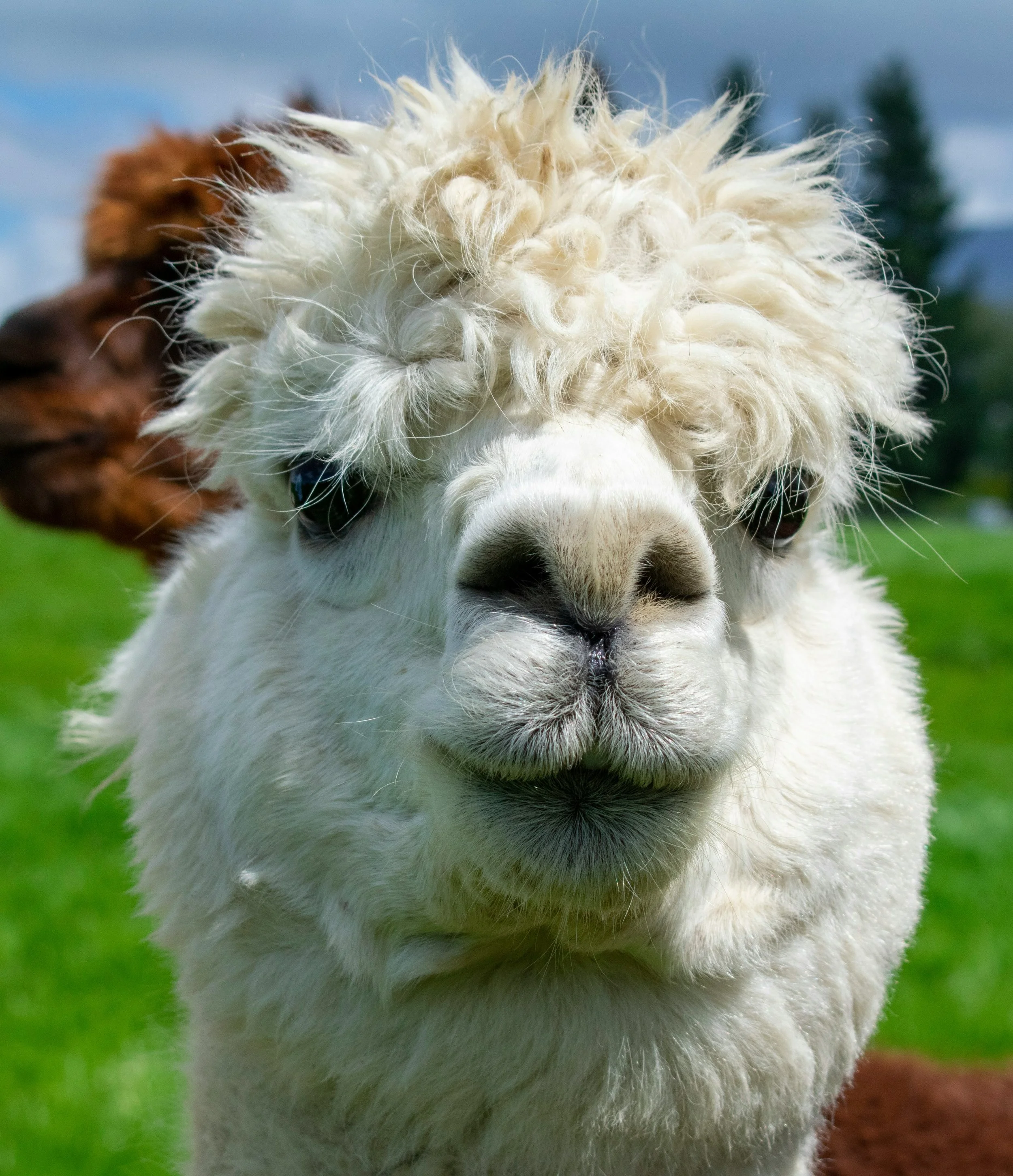 Adventure Day Trips from the South Shore