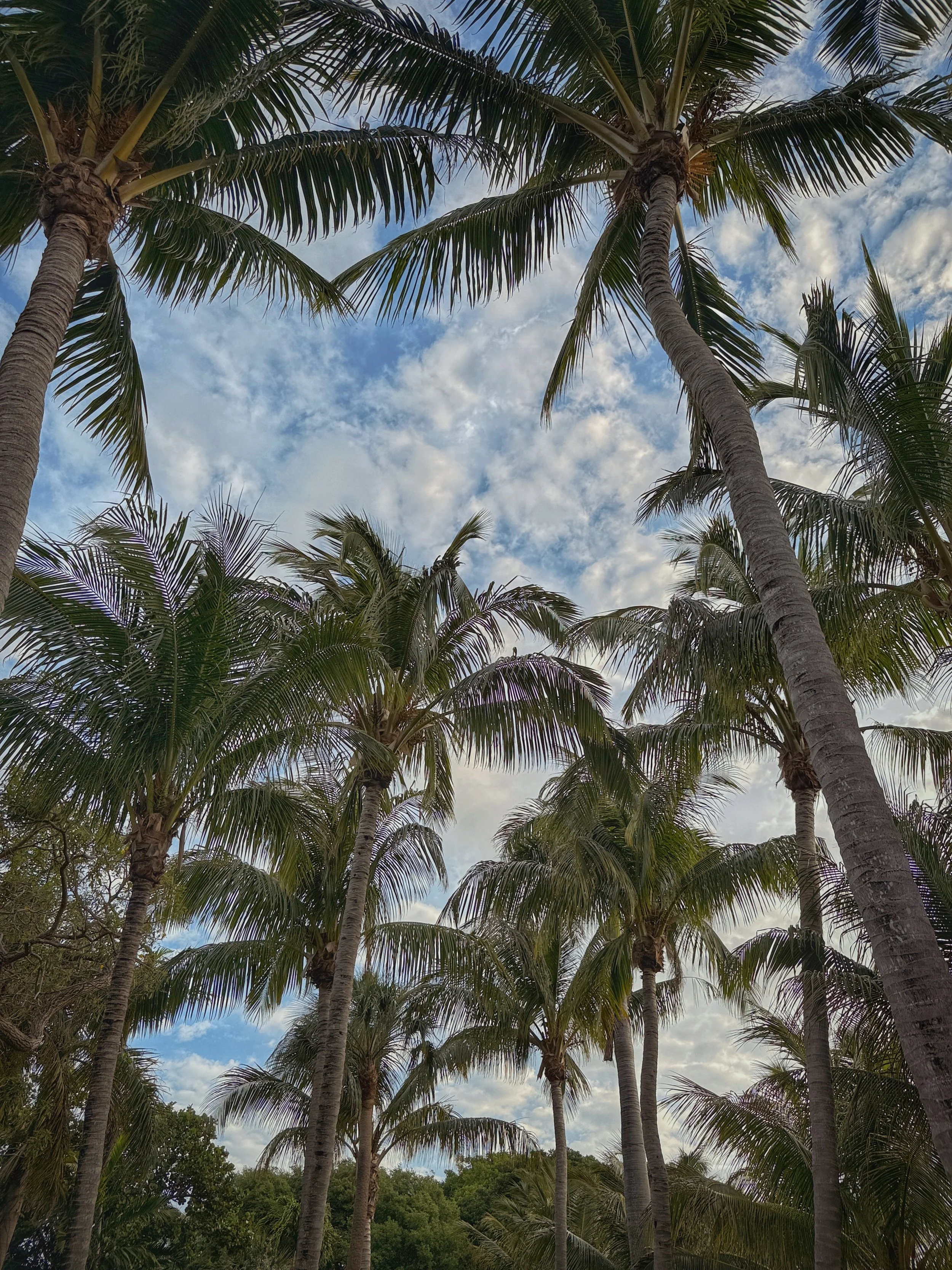 Palm Beach Area Revisited: What We Loved (and What I Forgot About Florida’s Atlantic Coast)