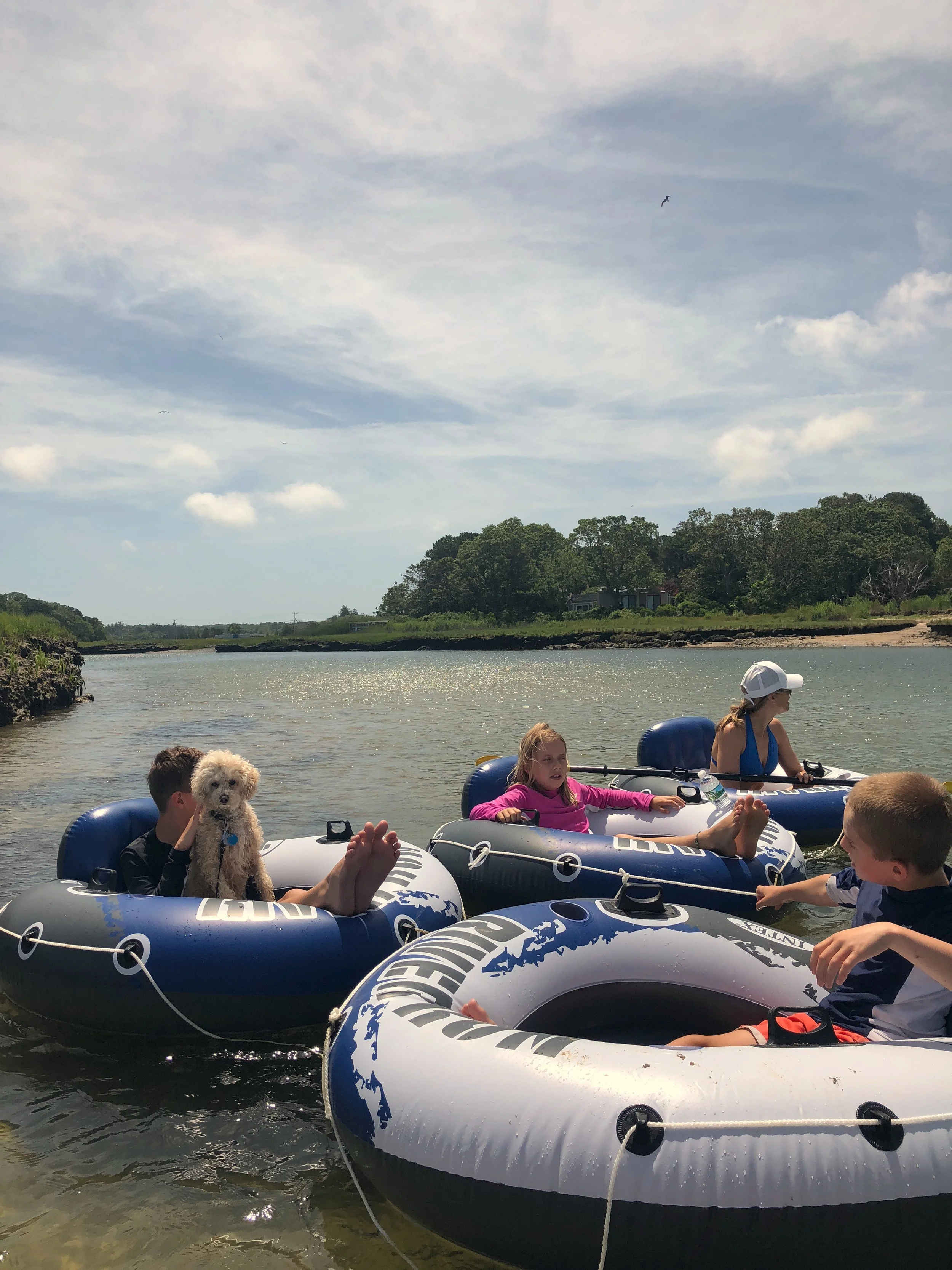 Sandwich: The Easiest Cape Cod Day Trip from the South Shore