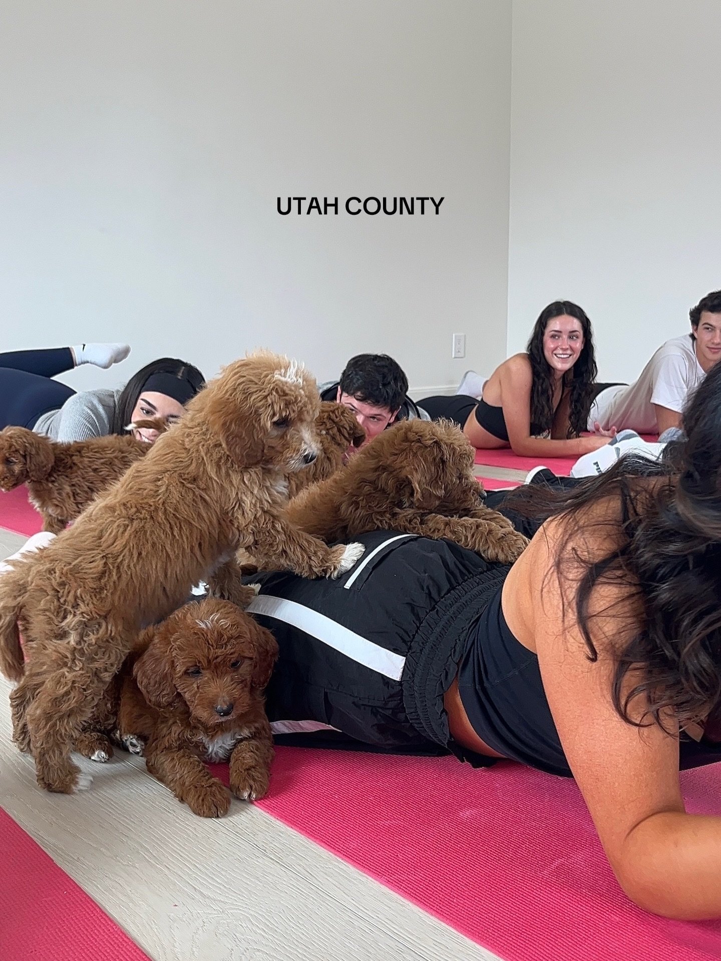 The perfect day date, girls day, or just day to yourself! 

BOOK WITH THE LINK IN OUR IG BIO 🐶🤍 

#puppy #puppyyoga #utahcounty #utah #activity