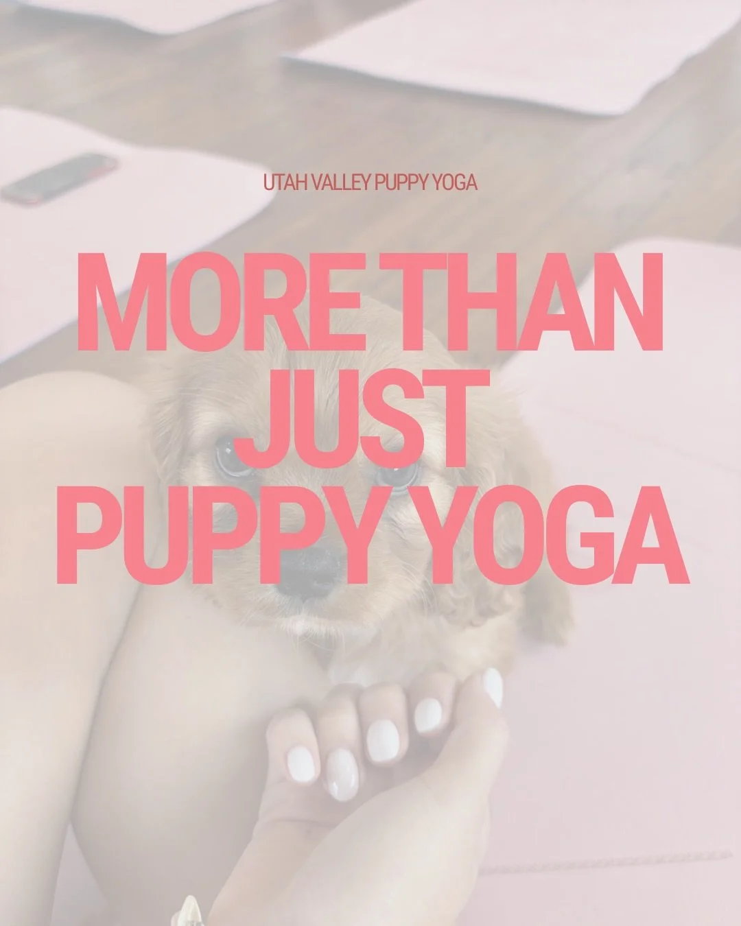 We truly appreciate you 🐶🤍 

#puppyyoga #utahvalley #shelter #shelterdog #doglovers