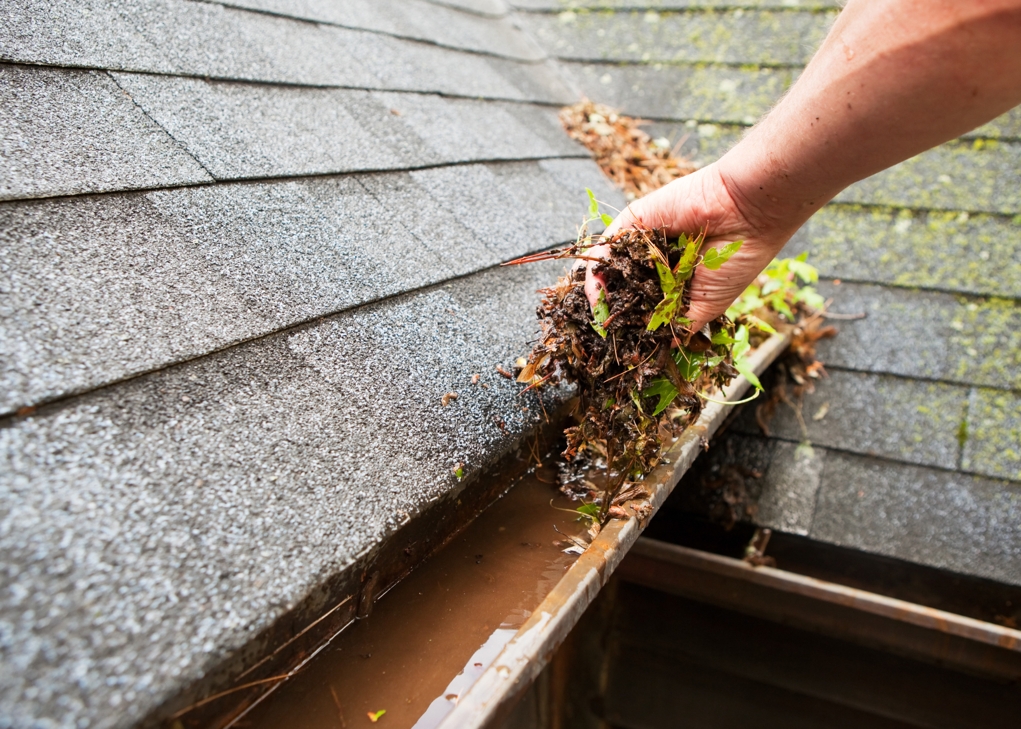 Professional Gutter Cleaning kitsap and pierce county