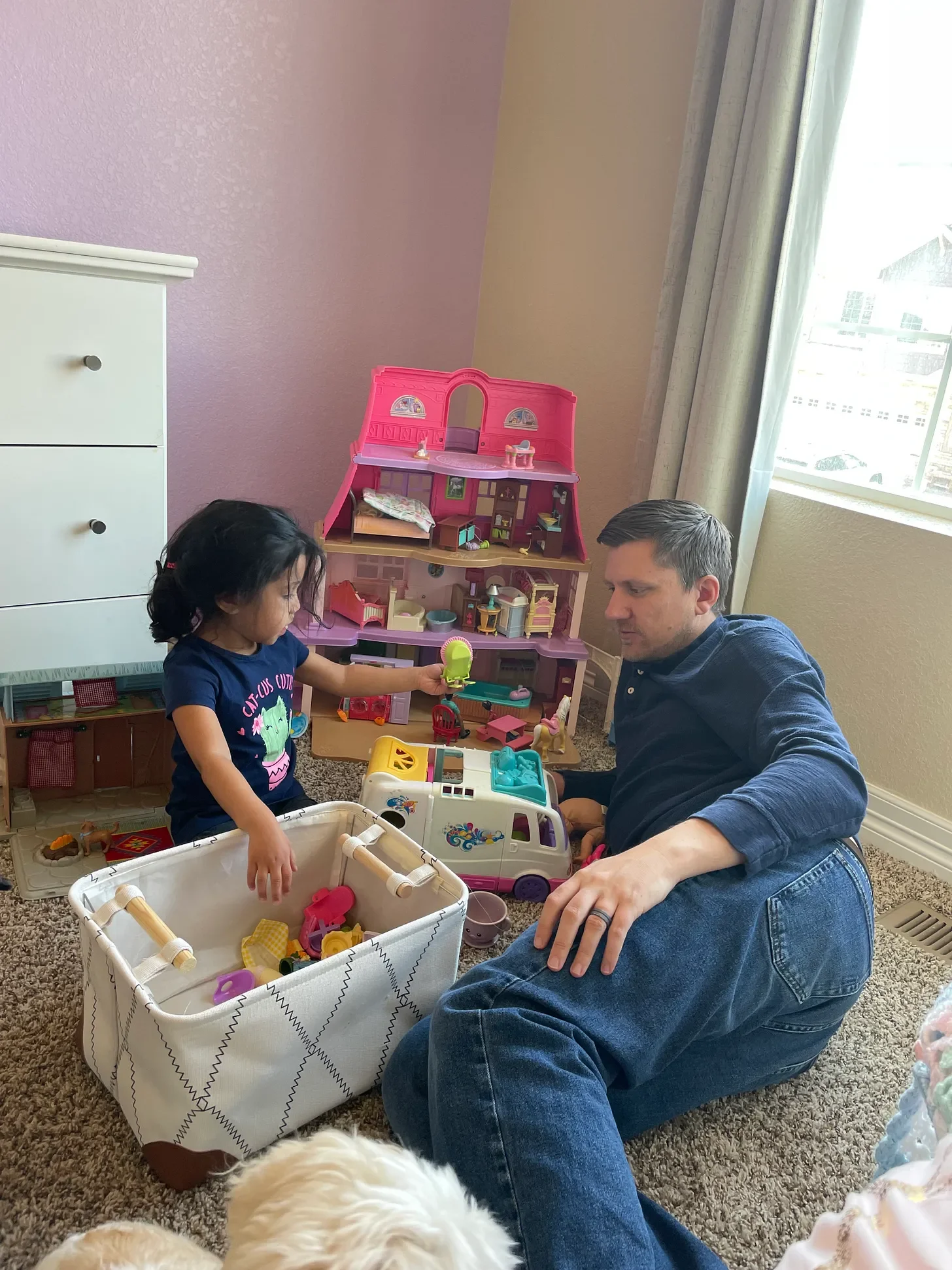 Parent Child Interactive Therapy