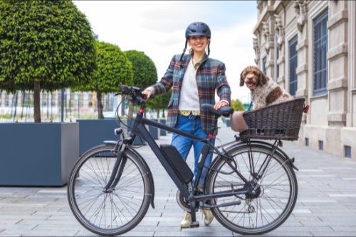 Woman with a dog in a bicycle basket on a city sidewalk.