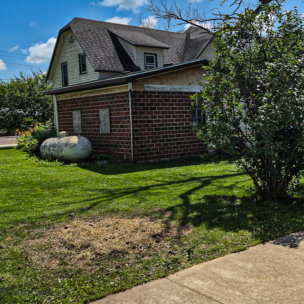 Stump Grinding