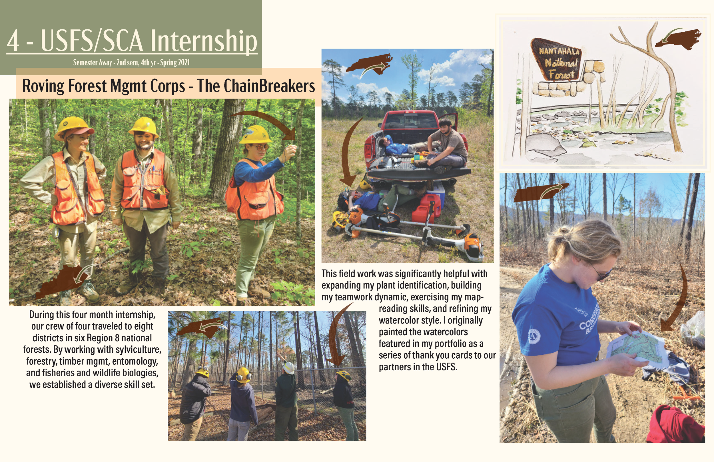 USFS Forest Management