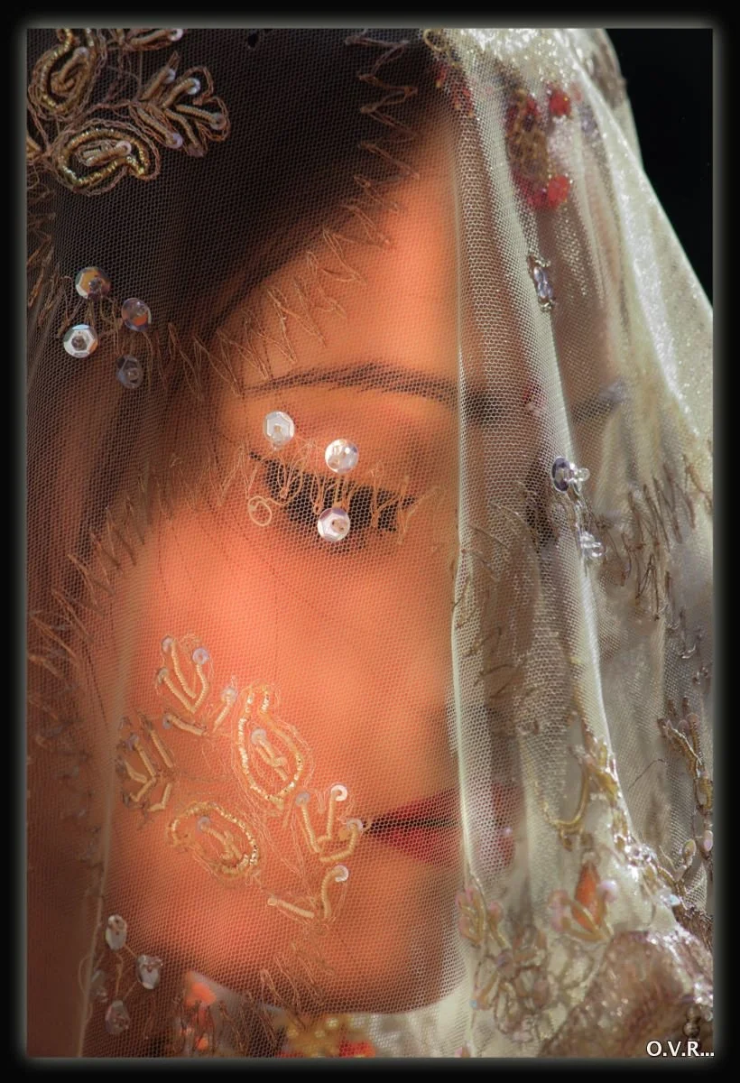 A woman with dark hair and makeup, partially covered by a sheer, embroidered veil with sequins and floral designs.