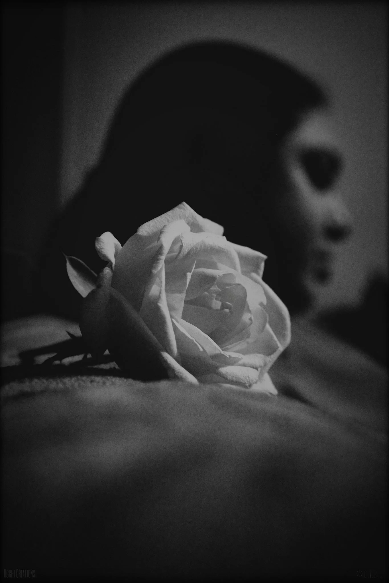 A black-and-white photo of a woman with a white rose resting on her shoulder, her face in profile, and her hair partially covering her face.