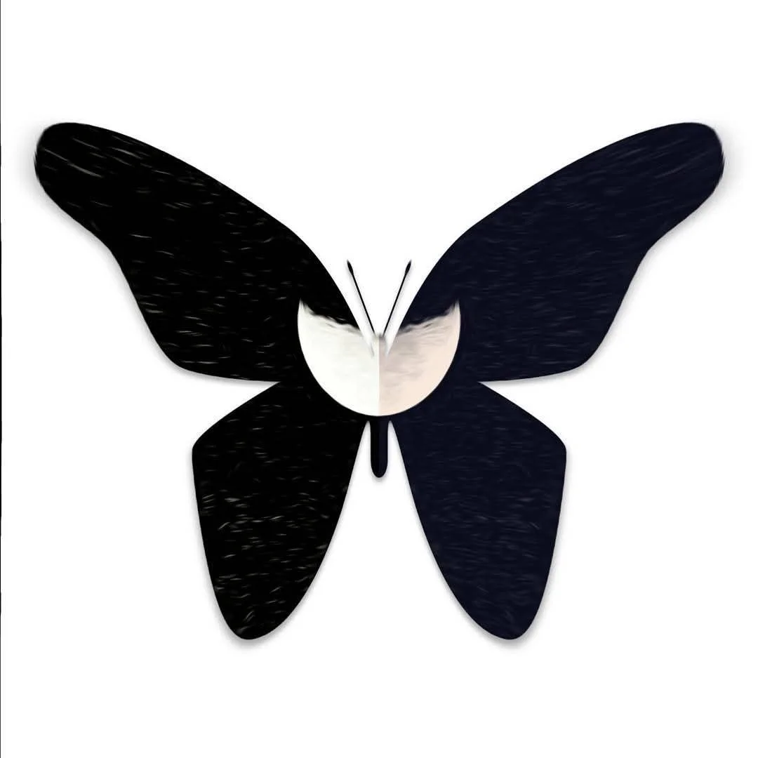 Black and white butterfly-shaped artwork with a mirrored design, featuring a moon in the center.