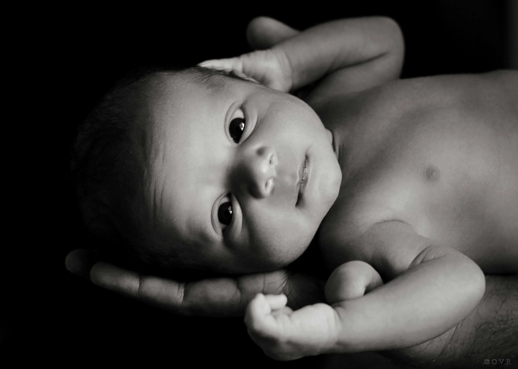 Black and white photo of a newborn baby lying in a person's hand, looking at the camera with wide eyes.