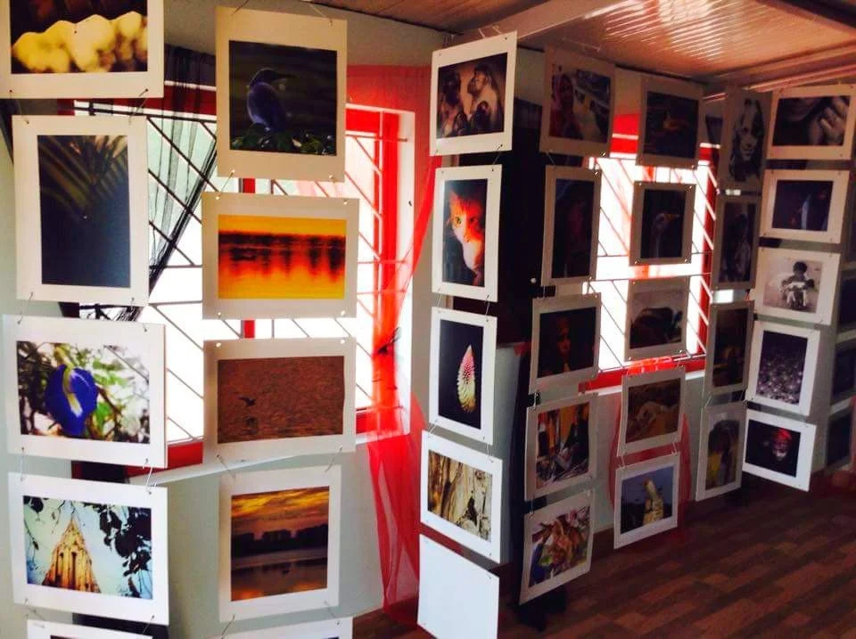Photo of an art exhibit with multiple photographs hanging on strings in front of windows with red curtains, featuring nature, animals, and landscape images.