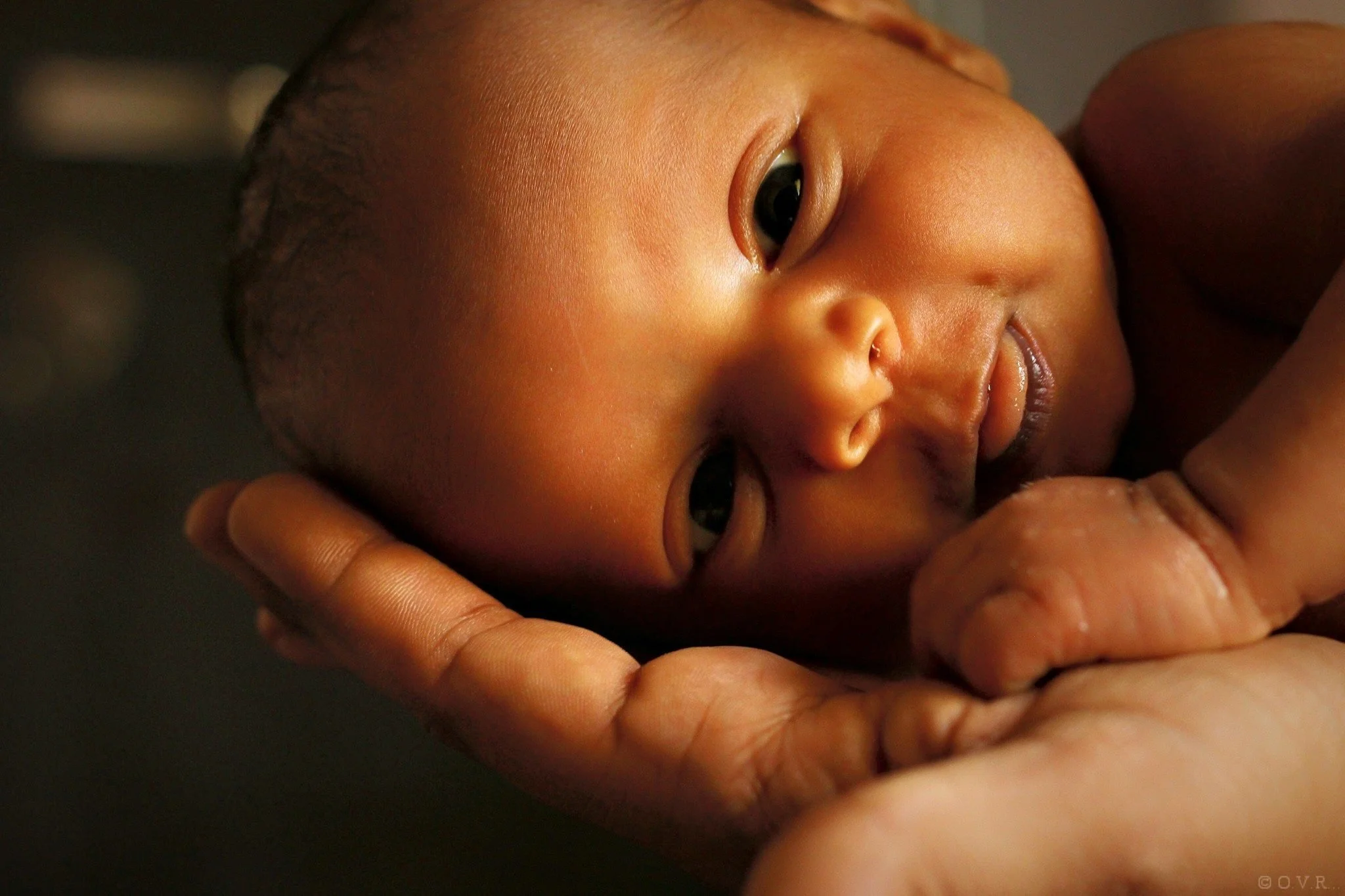 A close-up of a newborn baby with dark skin lying on an adult's hand, with gentle lighting highlighting the baby's facial features.