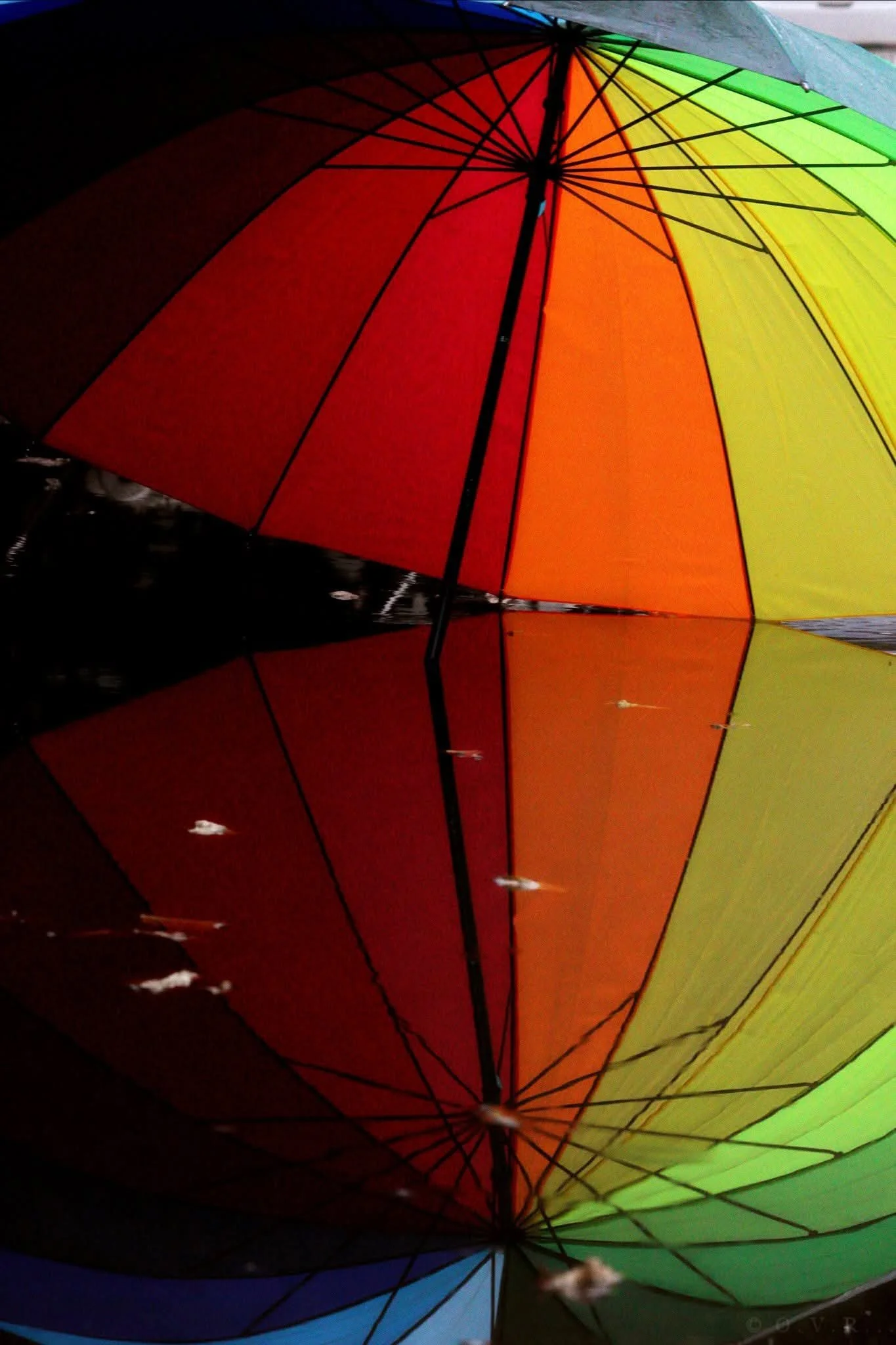 Colorful rainbow umbrella reflecting on a water surface.