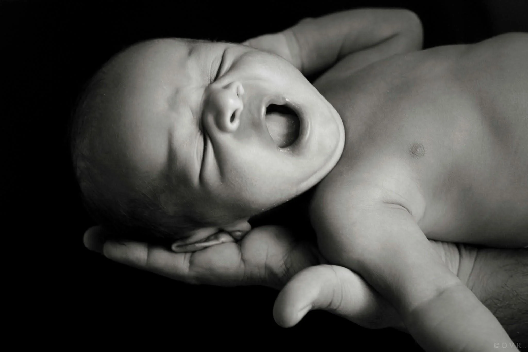 Black and white photo of a newborn baby wrapped in a person's hand, yawning with eyes closed.