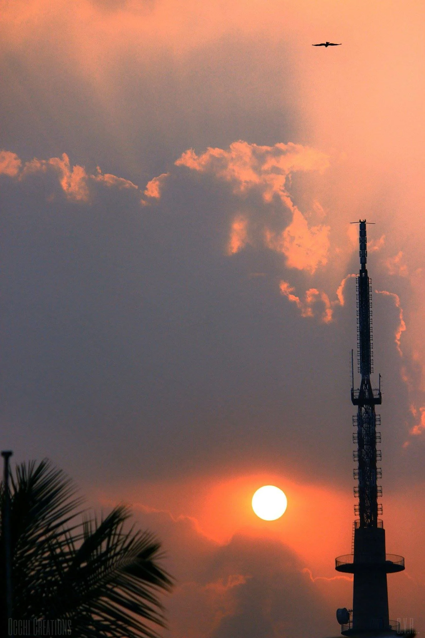 Sunset sky with clouds, silhouetted telecommunications tower, and a palm tree in the foreground.