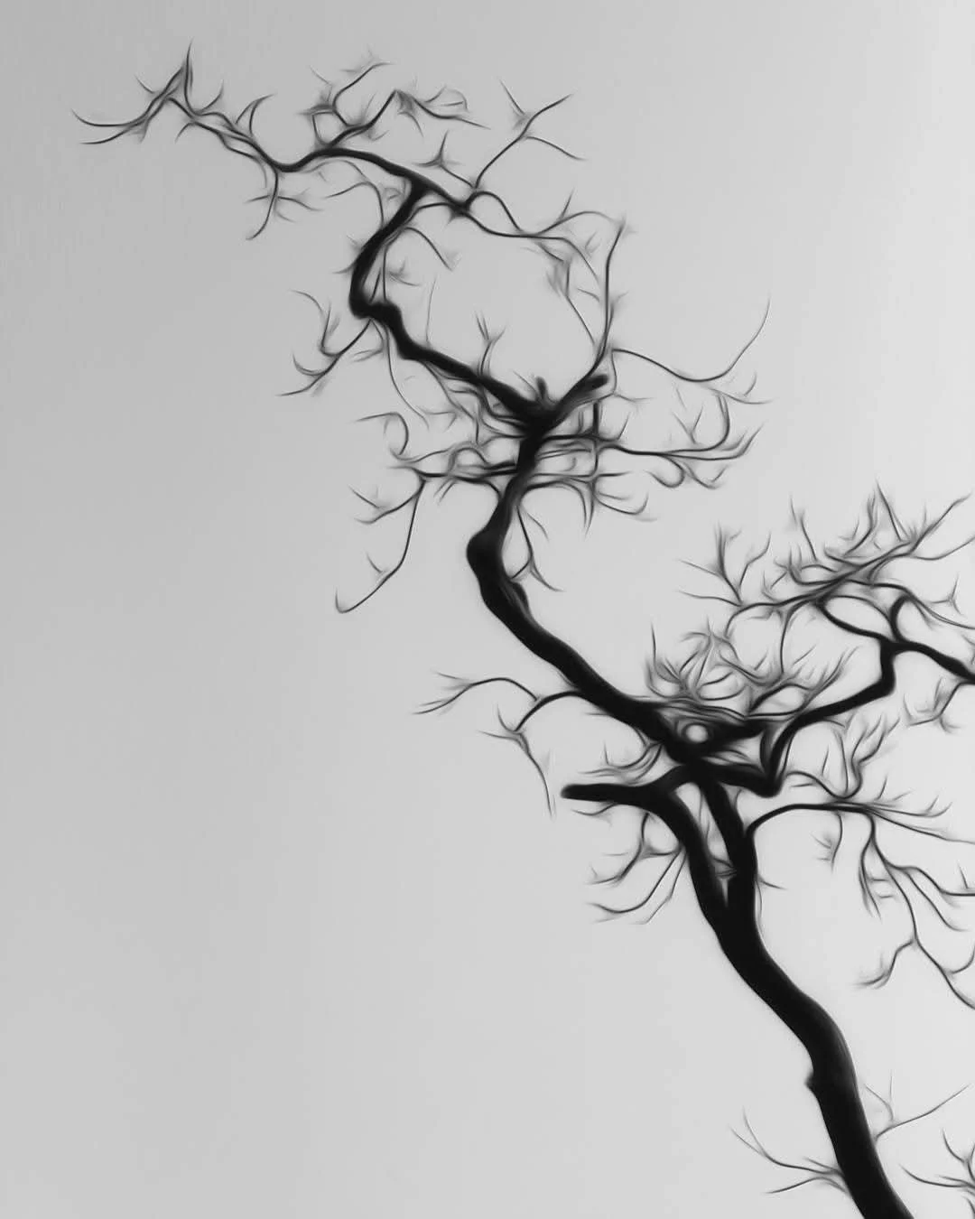 Black silhouette of a leafless tree branch against a light gray sky.
