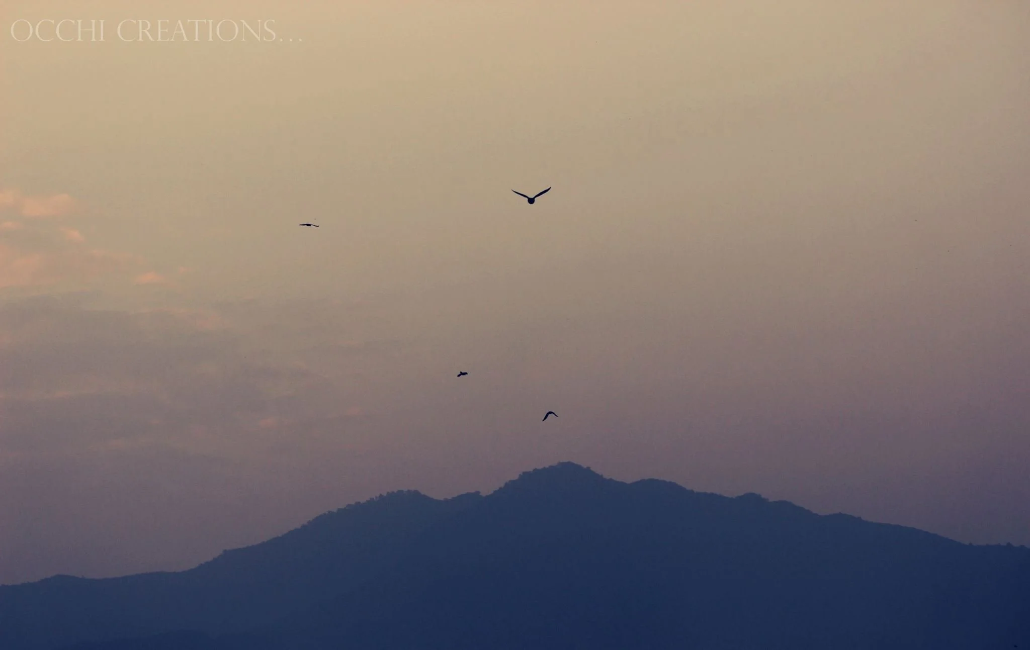 Sky at dusk with five flying birds above a mountain silhouette.