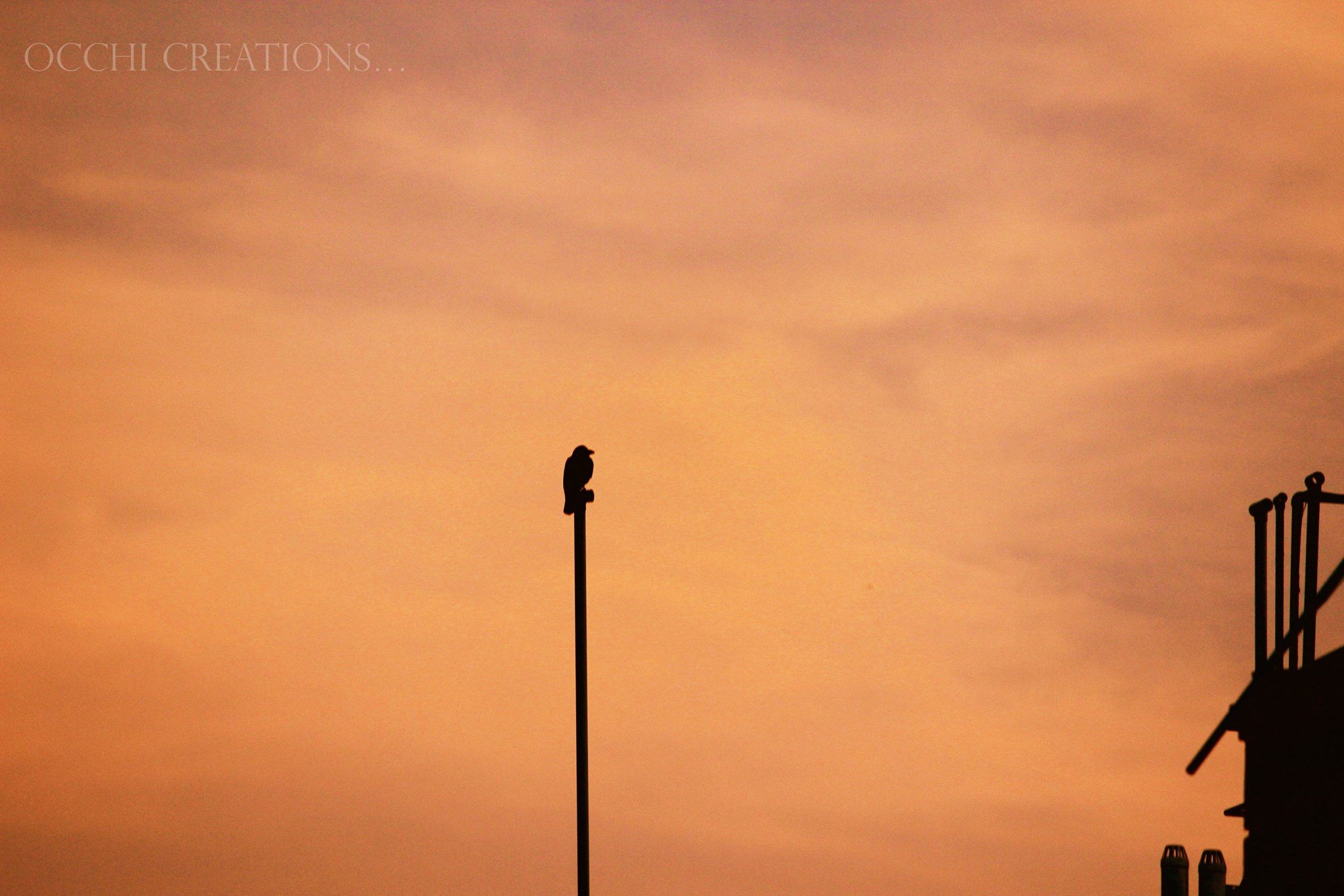Silhouette of a bird perched on a pole against an orange sky at sunset or sunrise, with part of a building and chimney visible on the right.