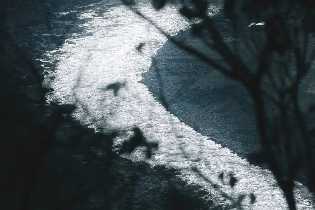 A river with partially frozen water flowing amidst trees, seen from a hillside.
