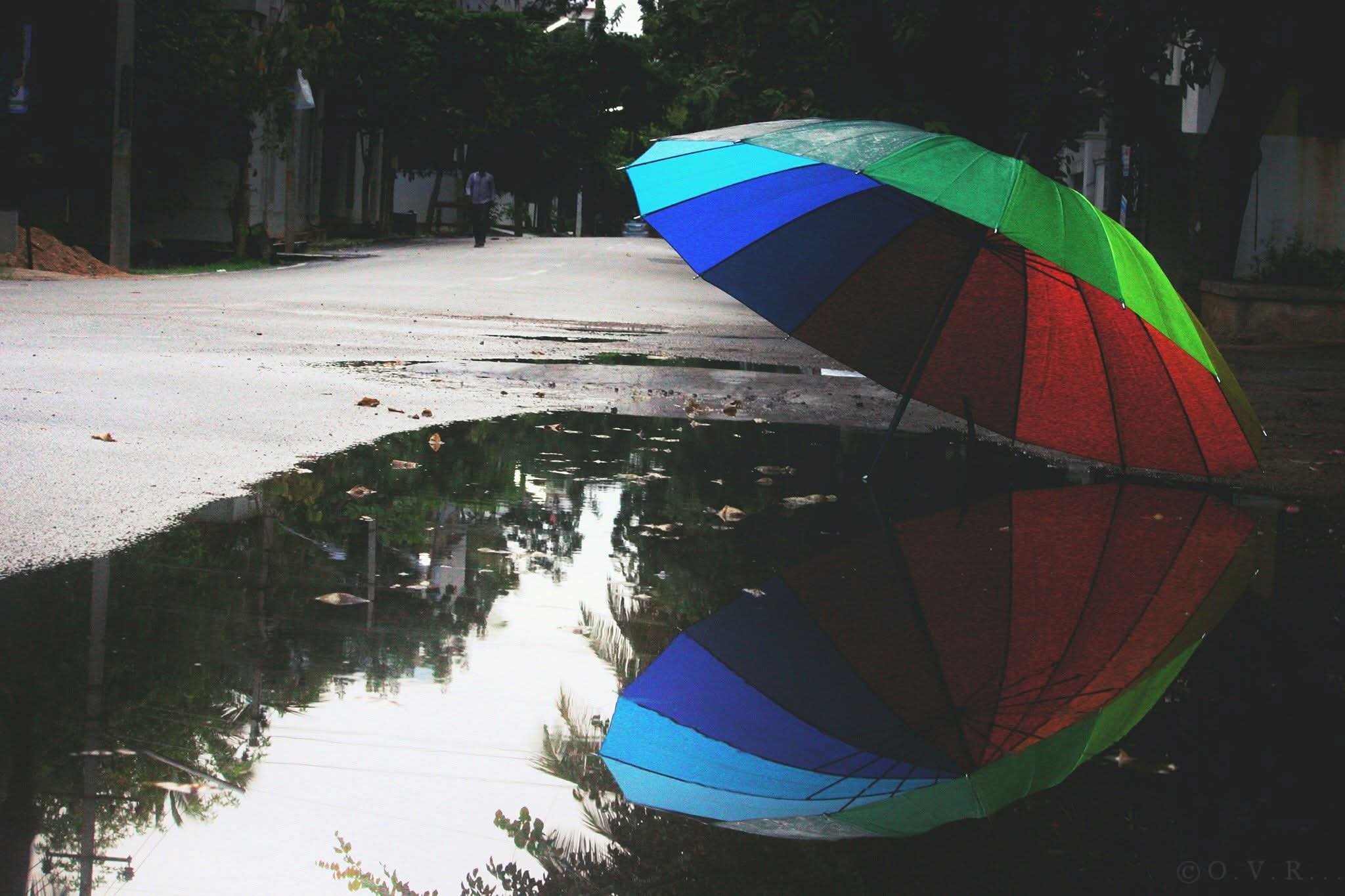 A colorful umbrella resting on the ground next to a puddle, reflecting the umbrella and surrounding trees, on a street after rain.