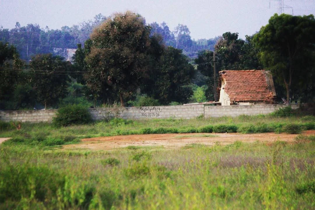A rural landscape with green grass, trees, and a small building with a red-tiled roof behind a concrete wall.