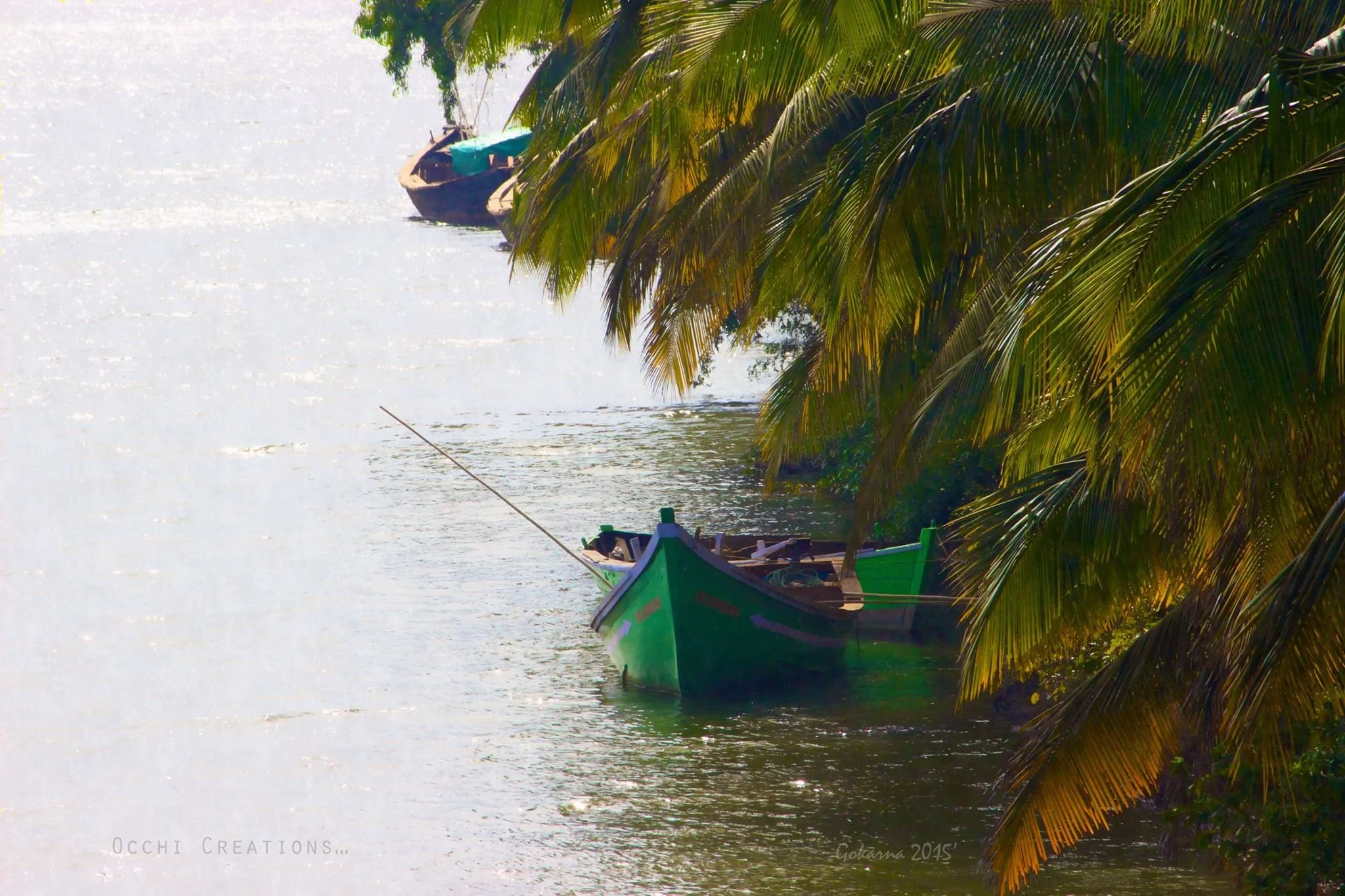 A green boat docked on the edge of a body of water, partially obscured by overhanging palm tree branches, with another boat visible in the background.