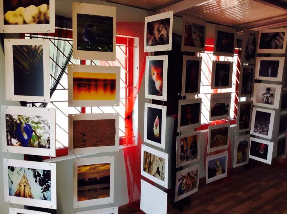 A display of various photographs hanging on a wire grid and white panels inside a room, with a window covered by red curtains in the background.