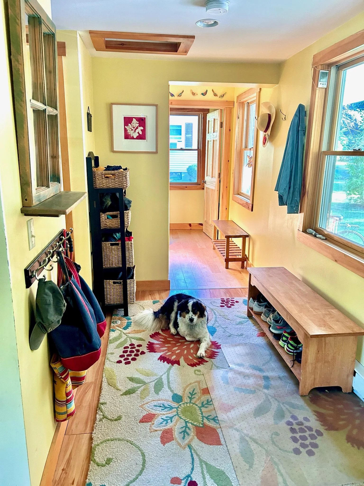 An entry way with organized drawers, bright light and a friendly dog. An example of a room organized by Creating Joyful Spaces