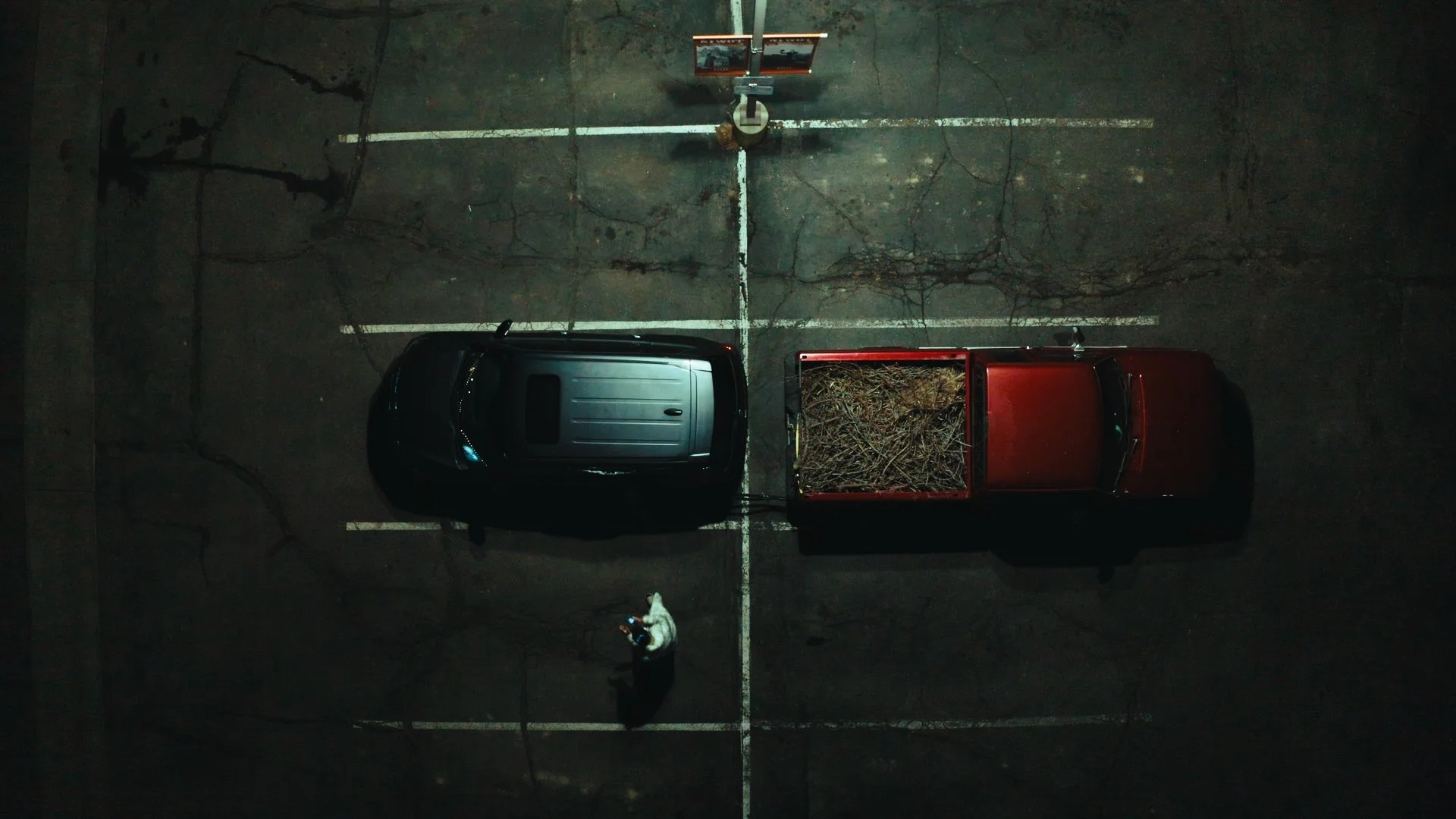 Still 2025-04-27 123802_1.1.1.jpg