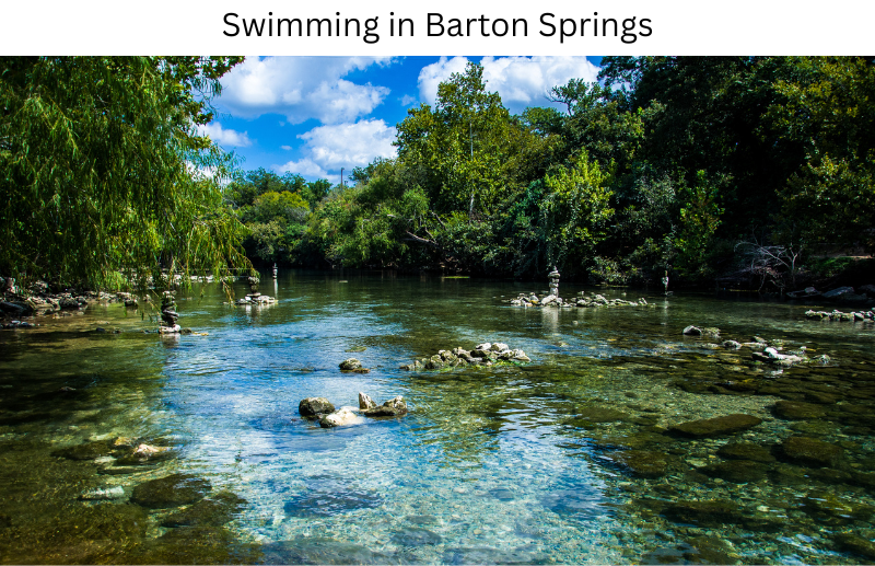 barton springs3.png
