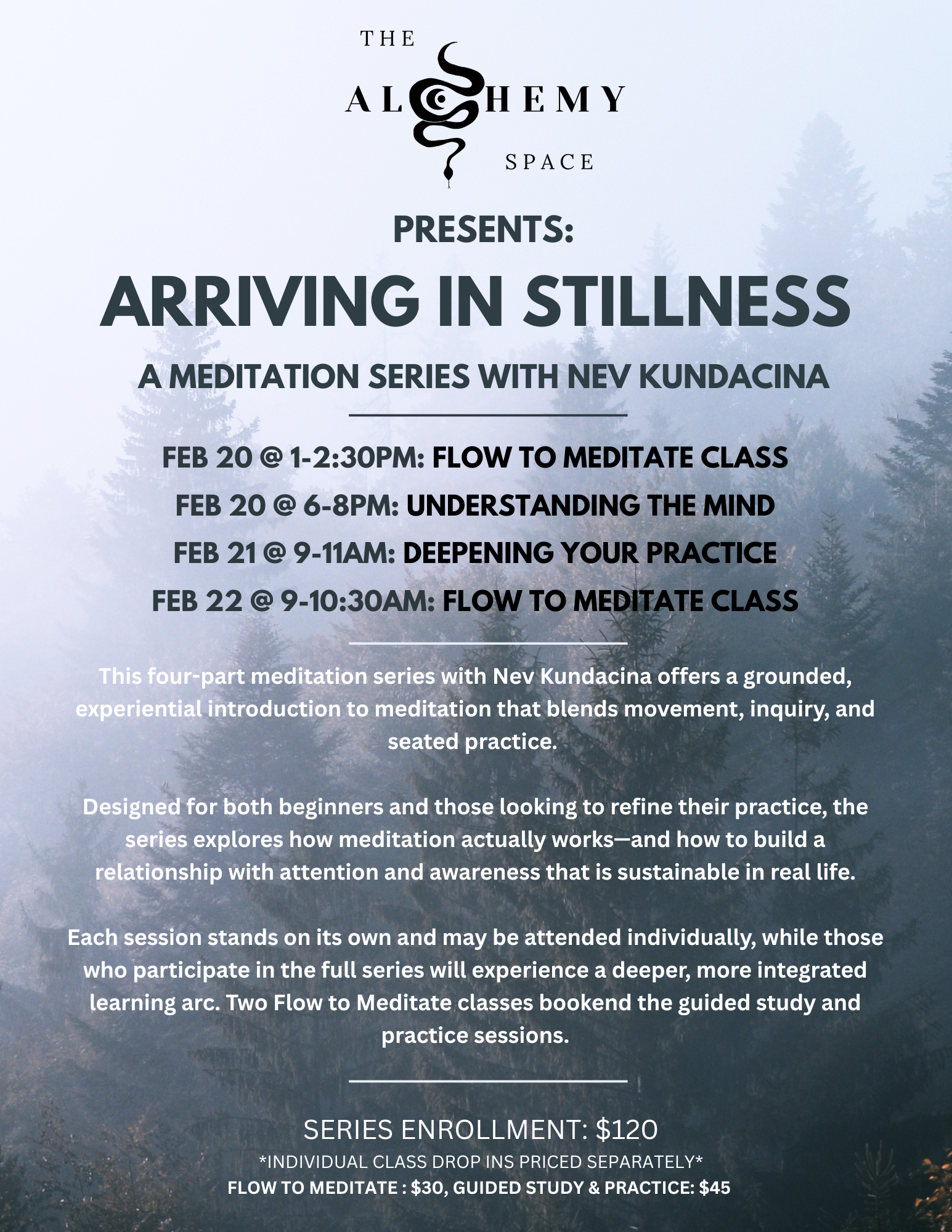 Arriving in Stillness Meditation Series (3).png