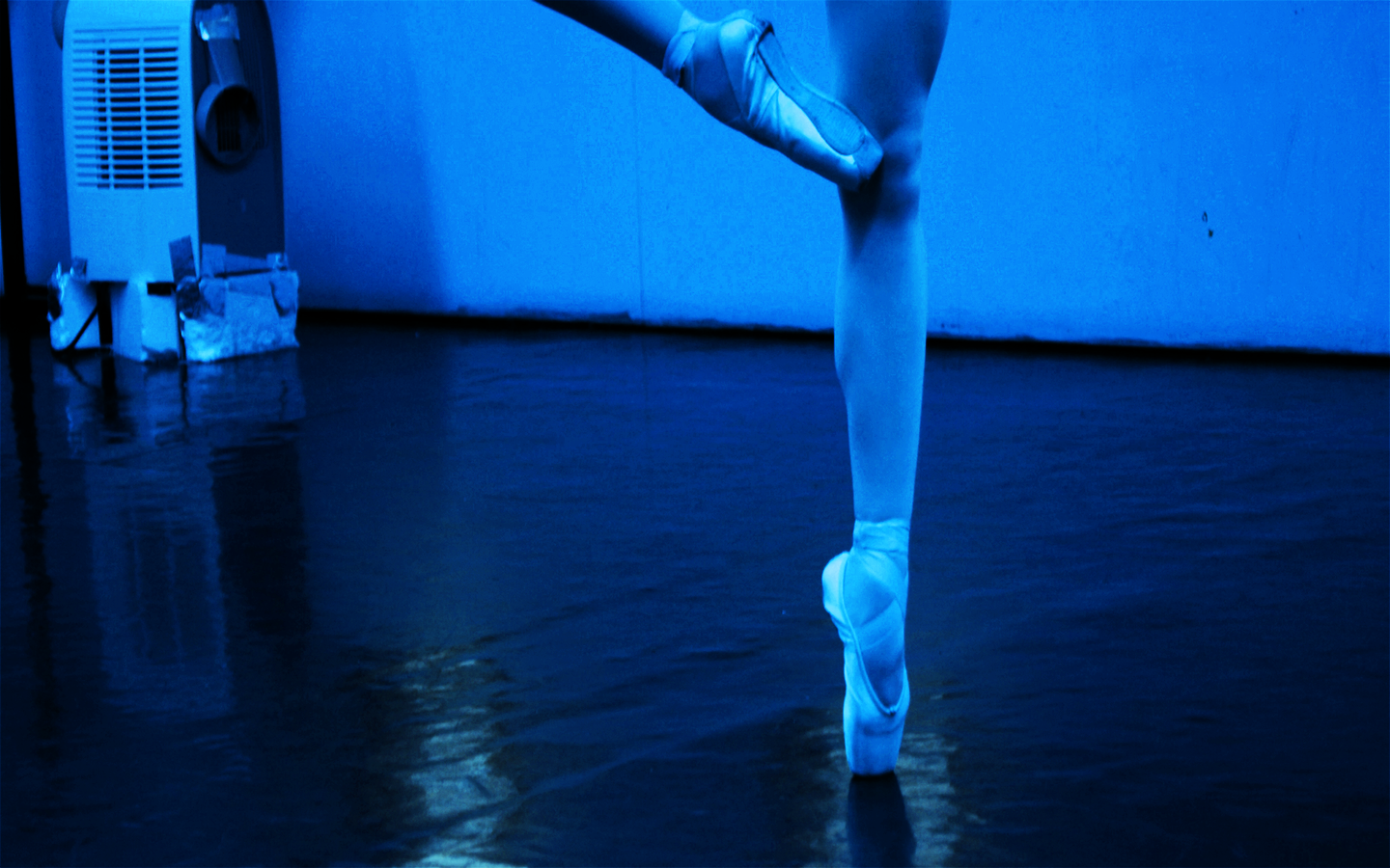 Brighton Ballet Theater