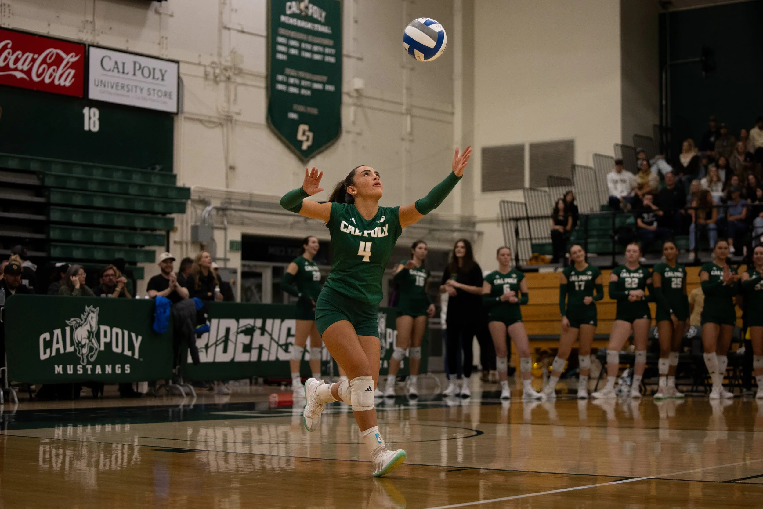 wvball.11-15.miadahlgren-15.jpg