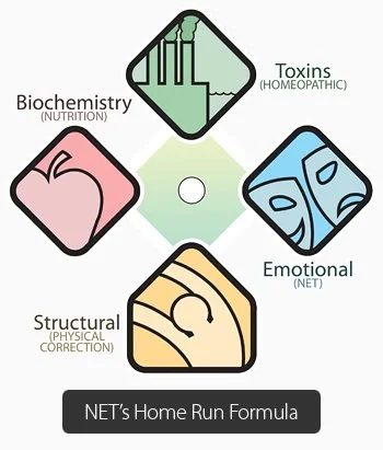 Certified Neuro Emotional Technique (NET) Specialist in Idaho Falls: A Deeper Level of Healing