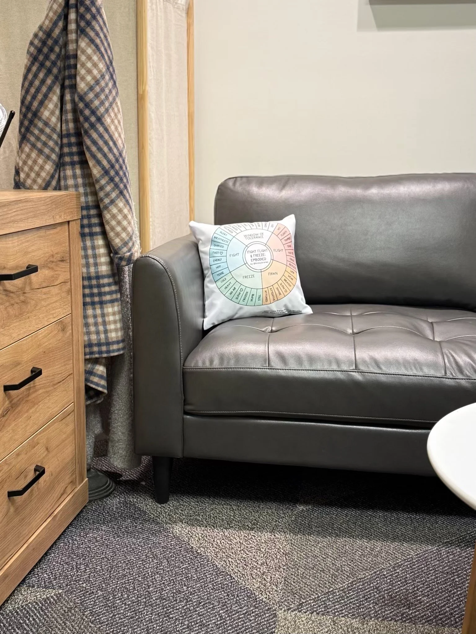 Gray leather sofa with a decorative pillow featuring a color wheel of emotional states, positioned next to a wooden dresser and a checkered coat hanging on a coat rack in a room with carpeted flooring.