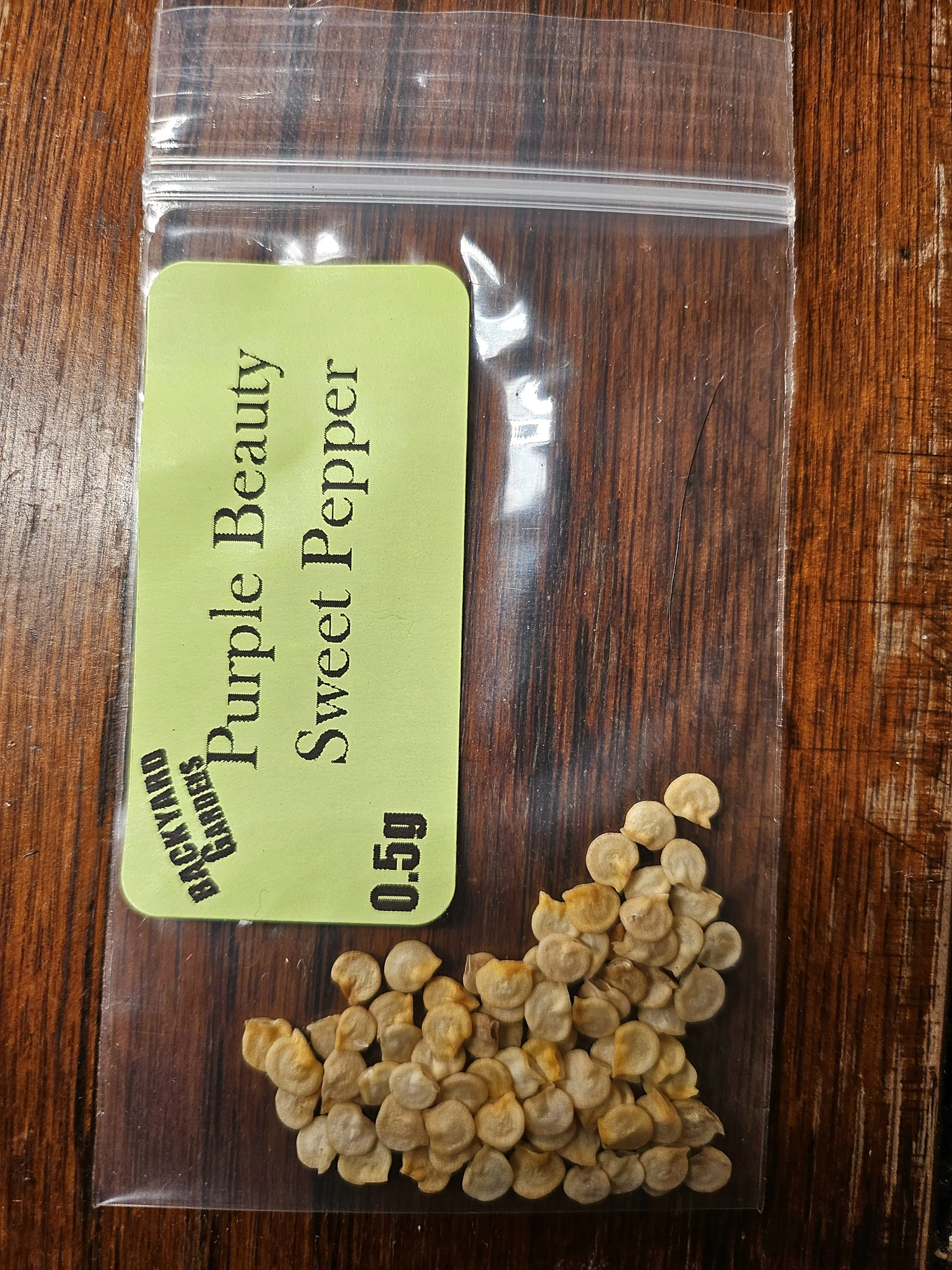 Purple beauty Sweet Bell Pepper