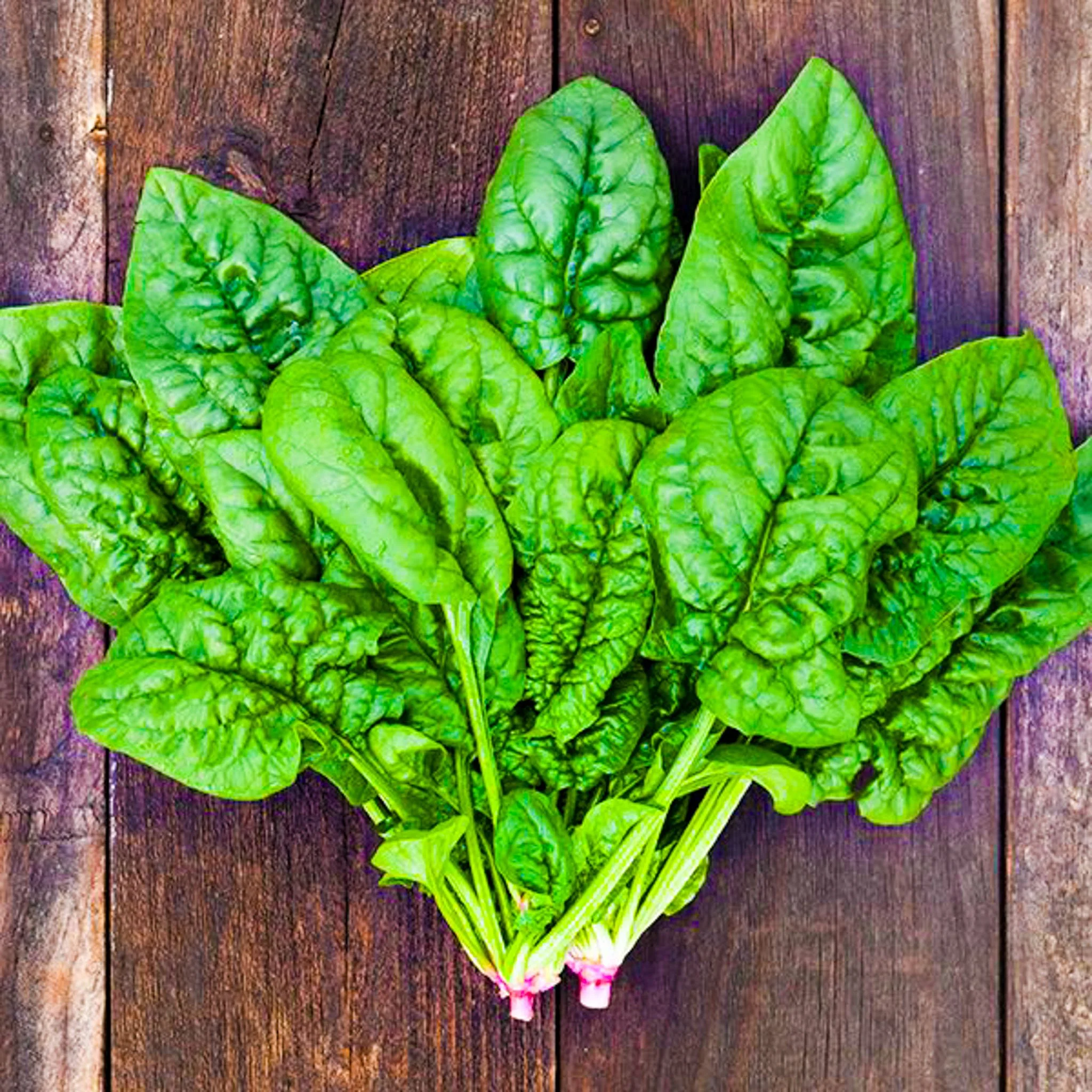 bloomsdale spinach.jpg