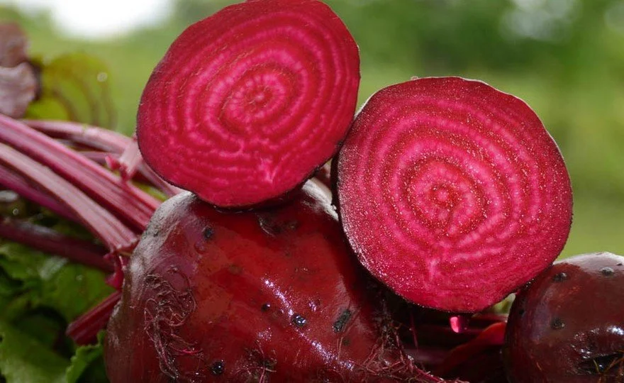 HH_Beet_Detroit-Dark-Red.jpg