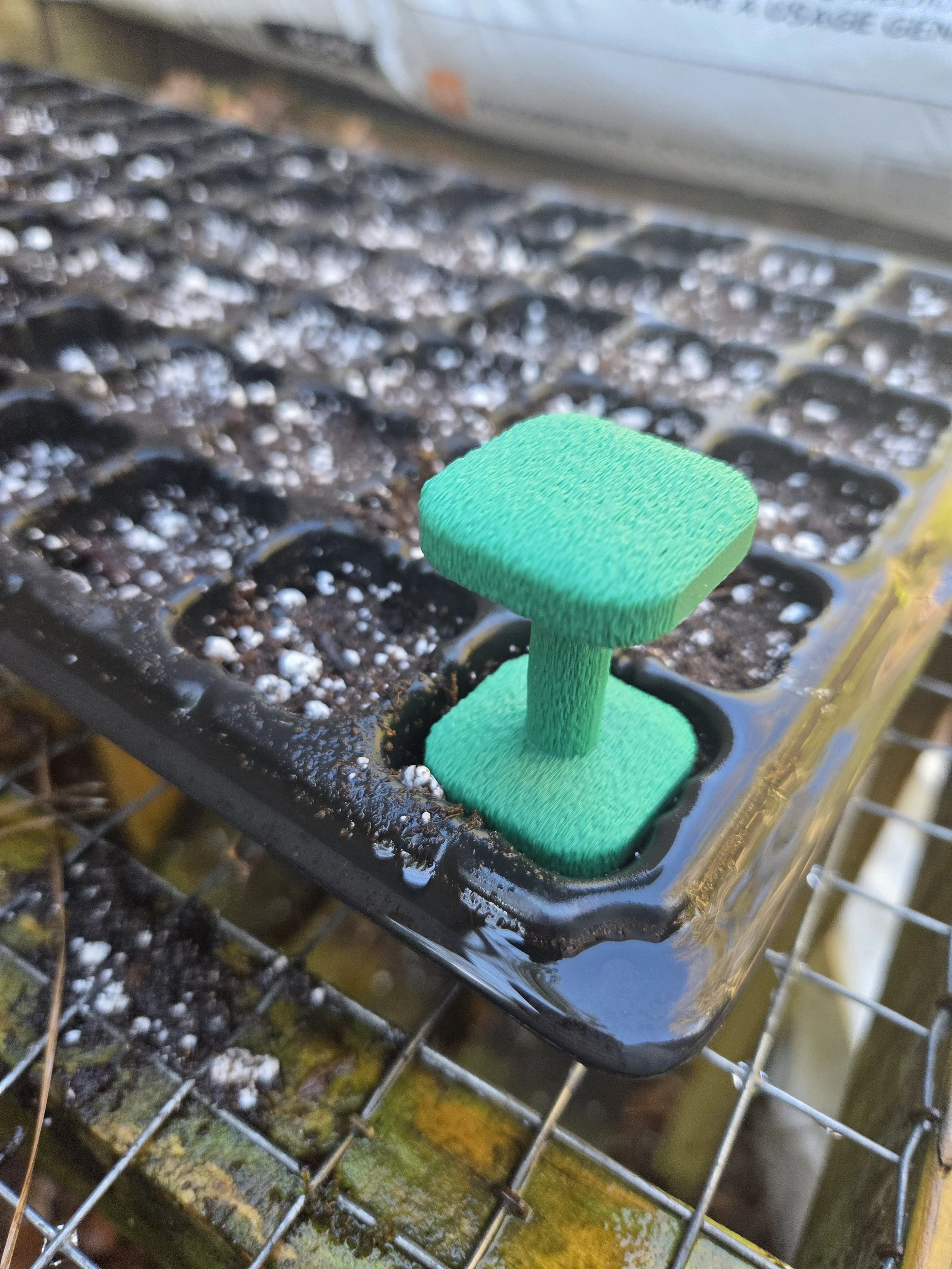 2 in 1 multi tool for seed starting