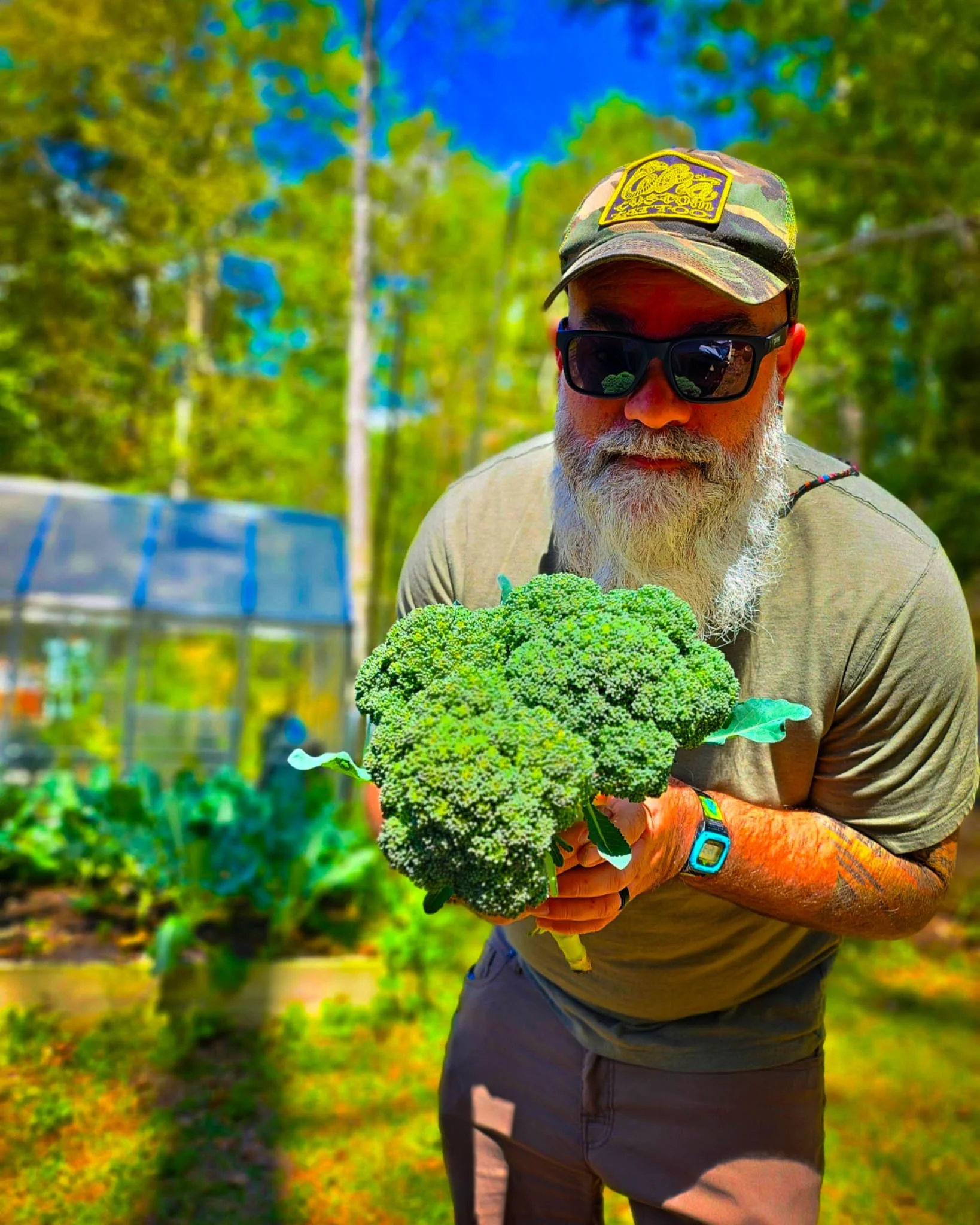 Waltham Broccoli Seeds
