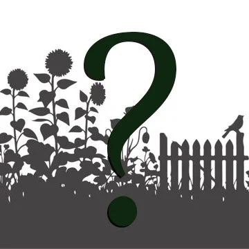 Leonard's Garden Mystery Box