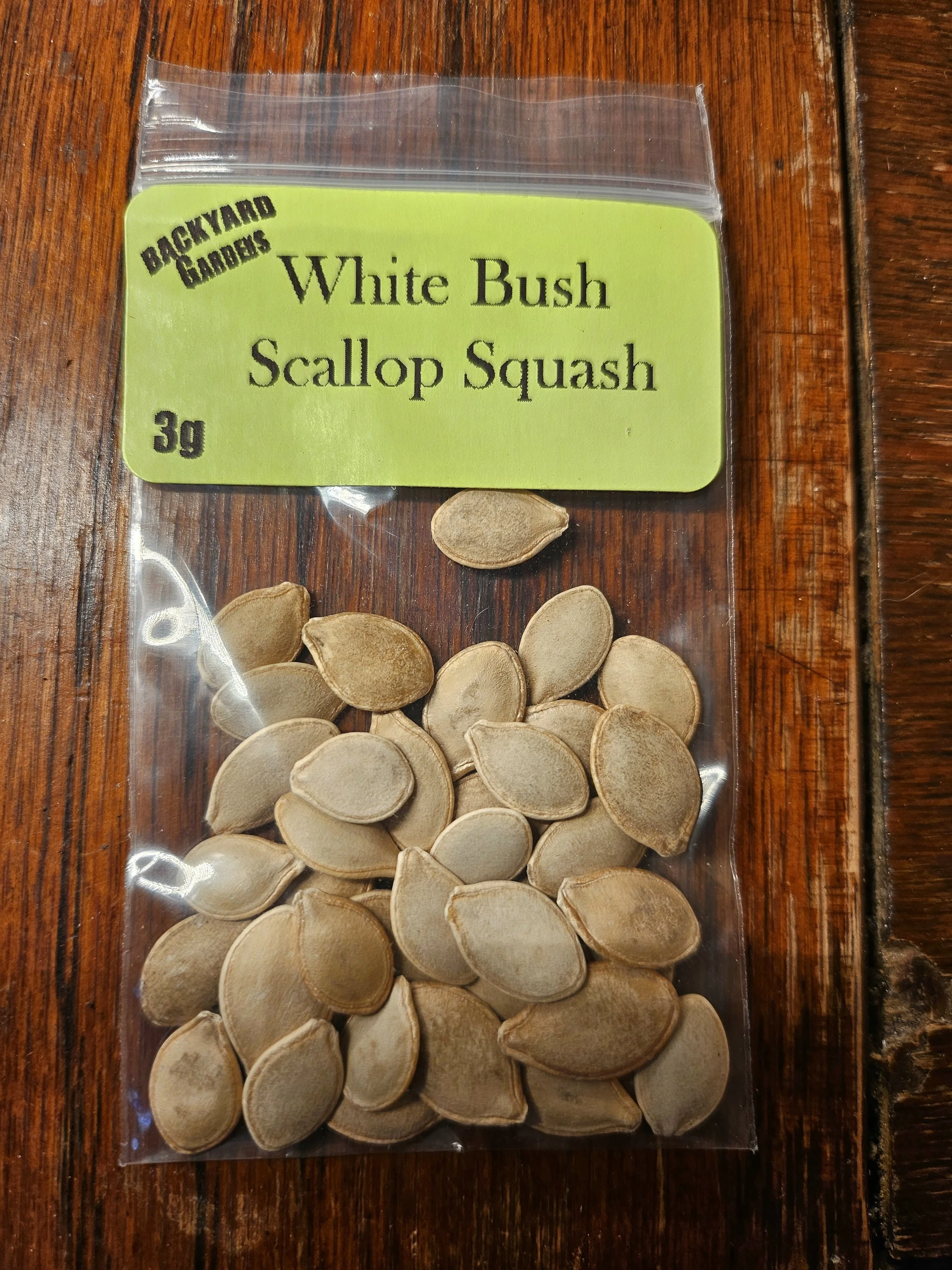 White Bush scallop Squash