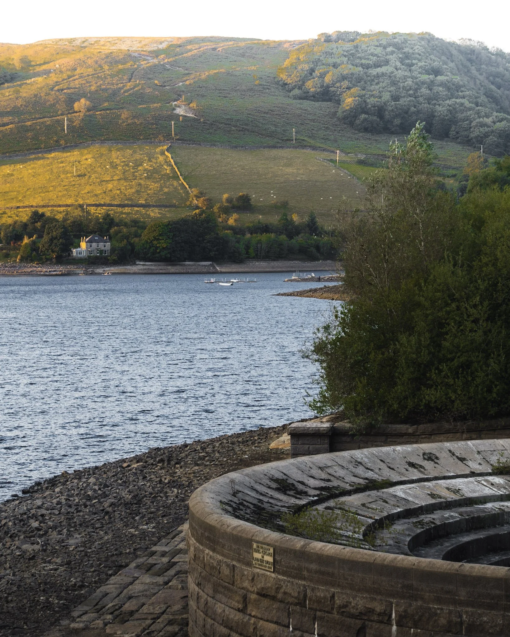 A lakeside scene with calm water, trees on the right, and hills covered with green vegetation and grazing sheep in the background, with a house near the water's edge.